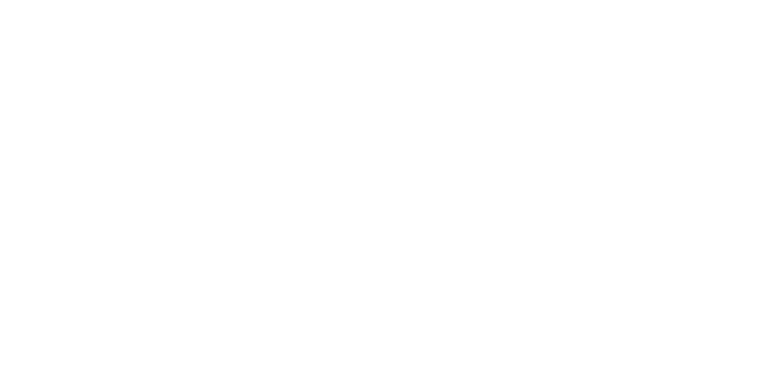 Official selection badge for AnimatX 2023 featuring white stylized text and laurel branches on a black background.