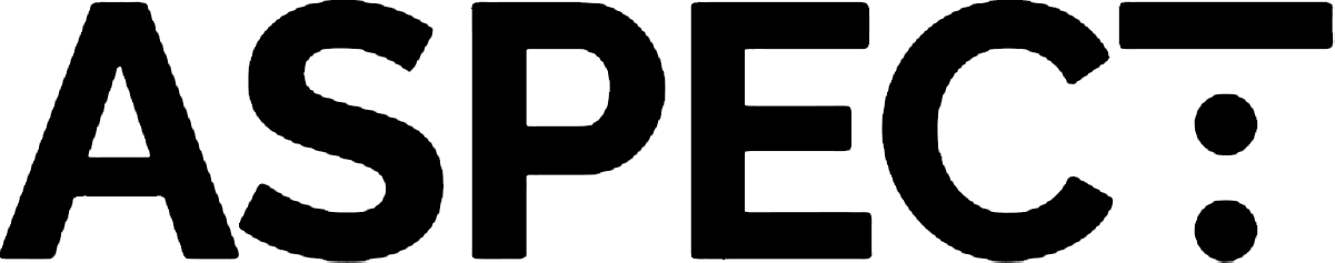 The image shows the word 'ASPECT:' outlined in black with no fill, on a black background.