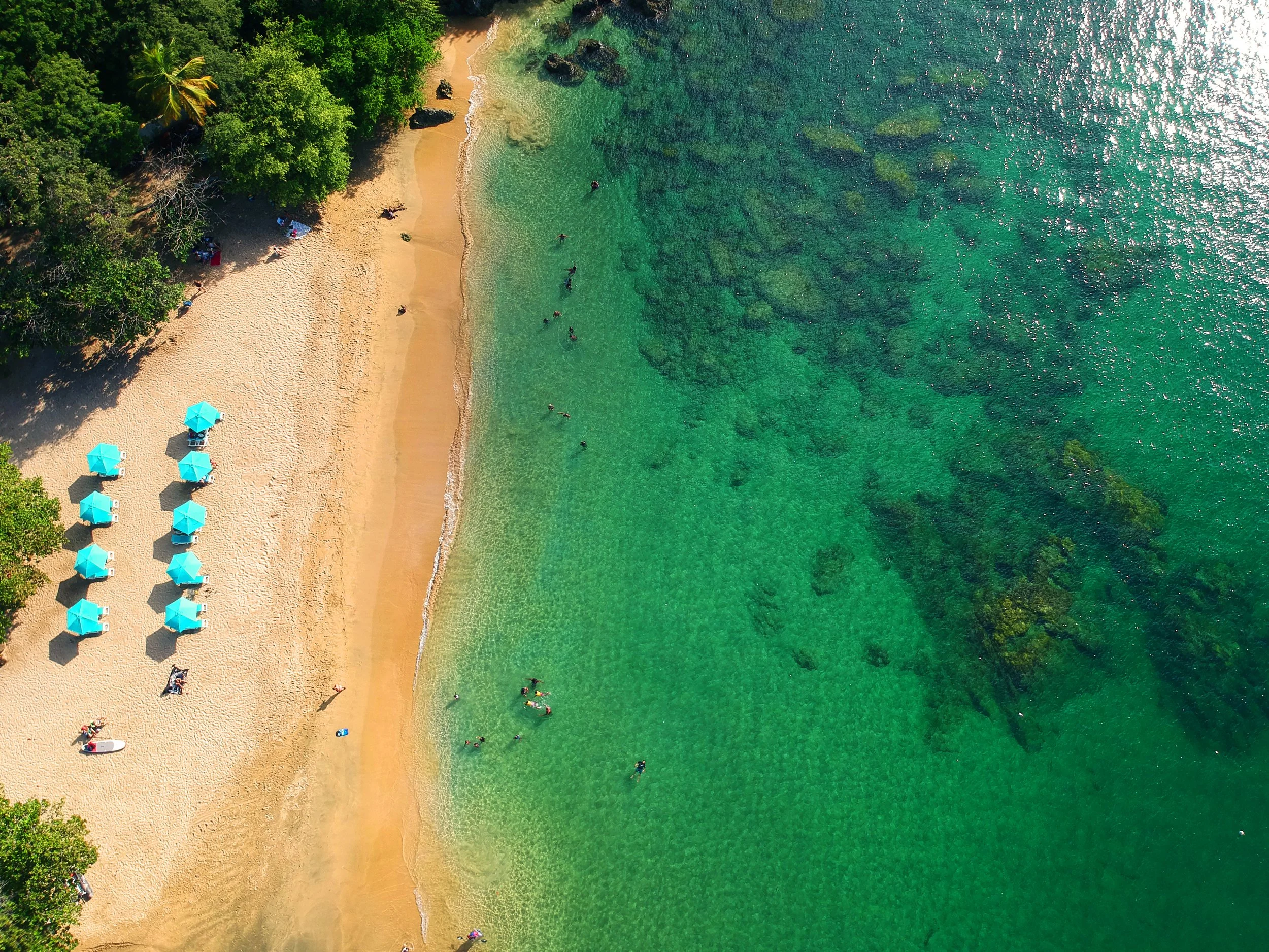 TOBAGO TOURISM AGENCY LIMITED