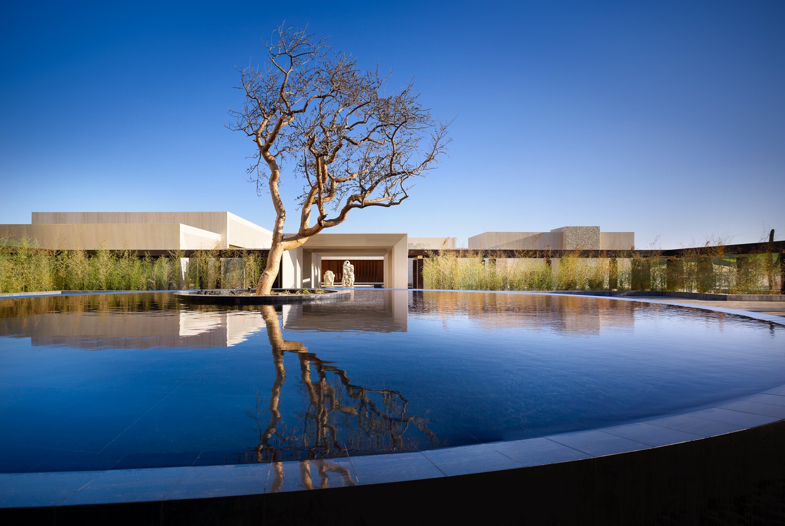 A modern building with a minimalist design, featuring a large entrance framed by white walls and a flat roof. In front of the building, there is a reflective water feature with a leafless tree and a reflection of the building and sky. The sky is clear and blue, and there are some shrubs in the foreground.
