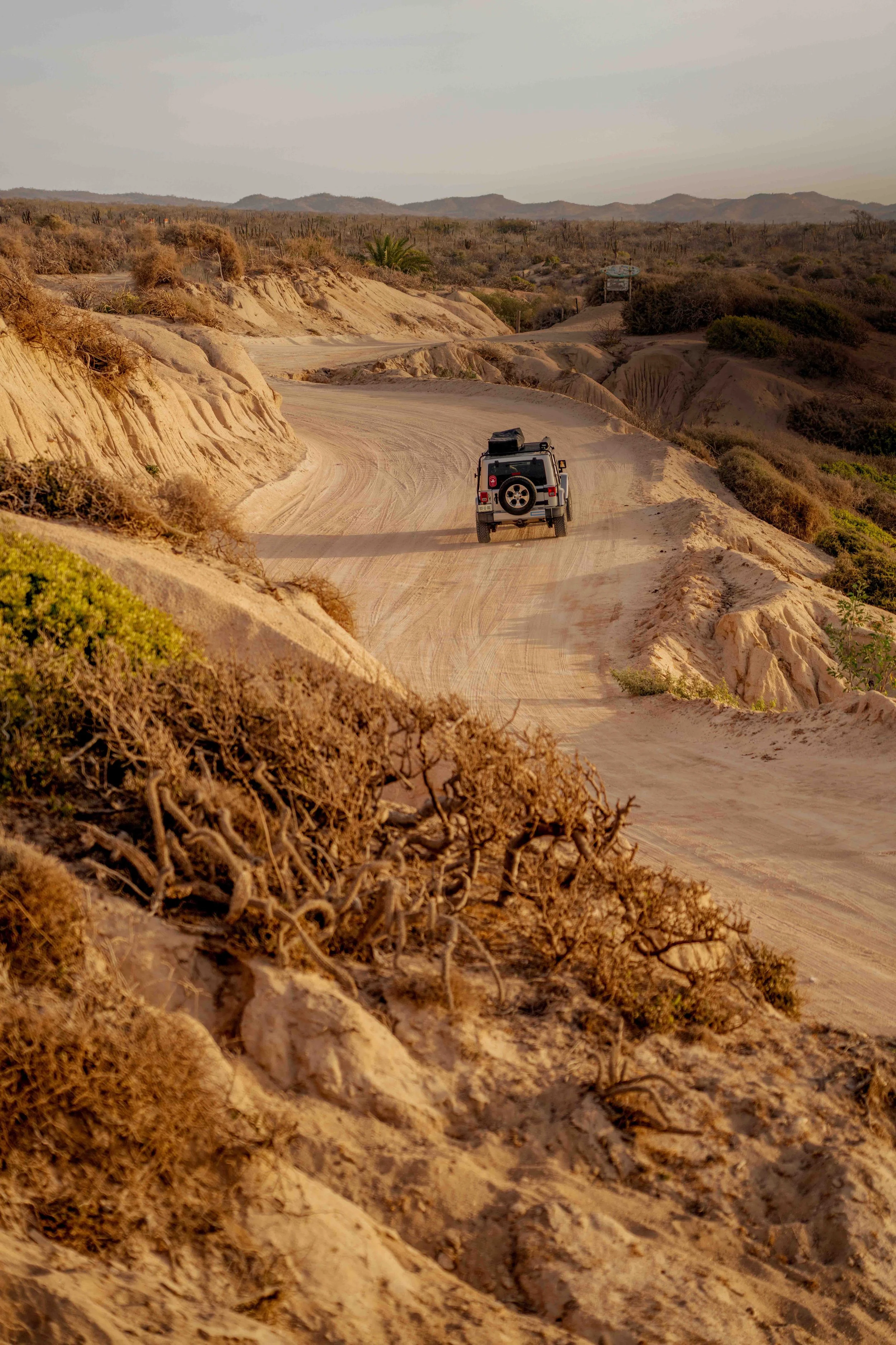 A Jeep driving on a winding dirt road through a desert landscape with sparse vegetation, including shrubs and cacti, under a cloudy sky.