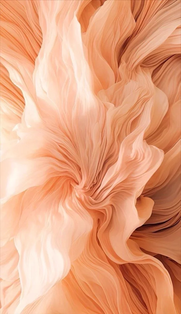 Image 41.jpg