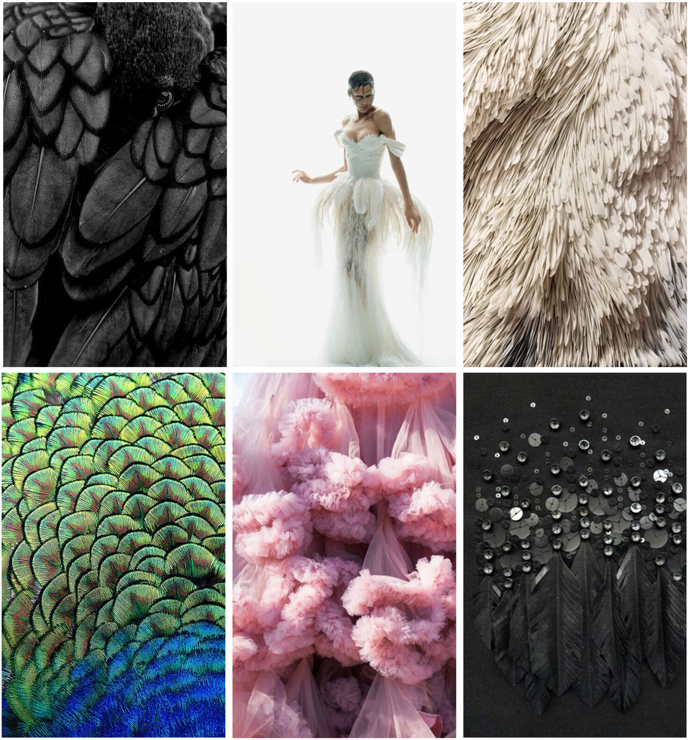 A collage of six close-up images of various textures: black and white feather details, a woman in a white feather dress, beige feather texture, green and blue peacock feathers, pink fluffy fabric, and black background with raindrops and black feathers.