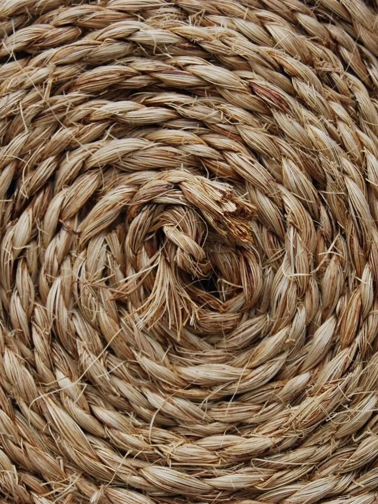 Image 17.jpg