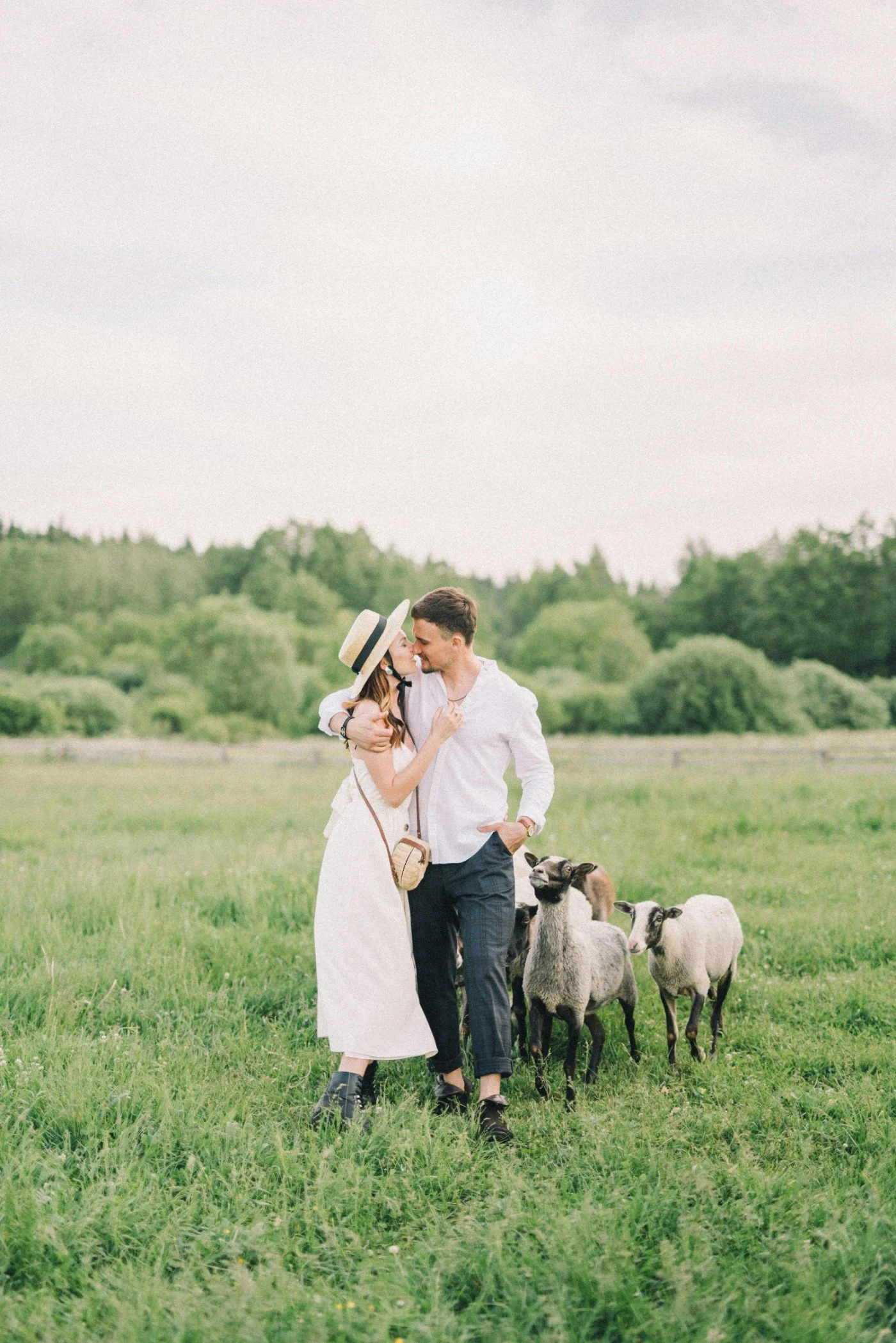 A couple kissing in a green field with dogs and sheep nearby, trees in the background, and a cloudy sky overhead.