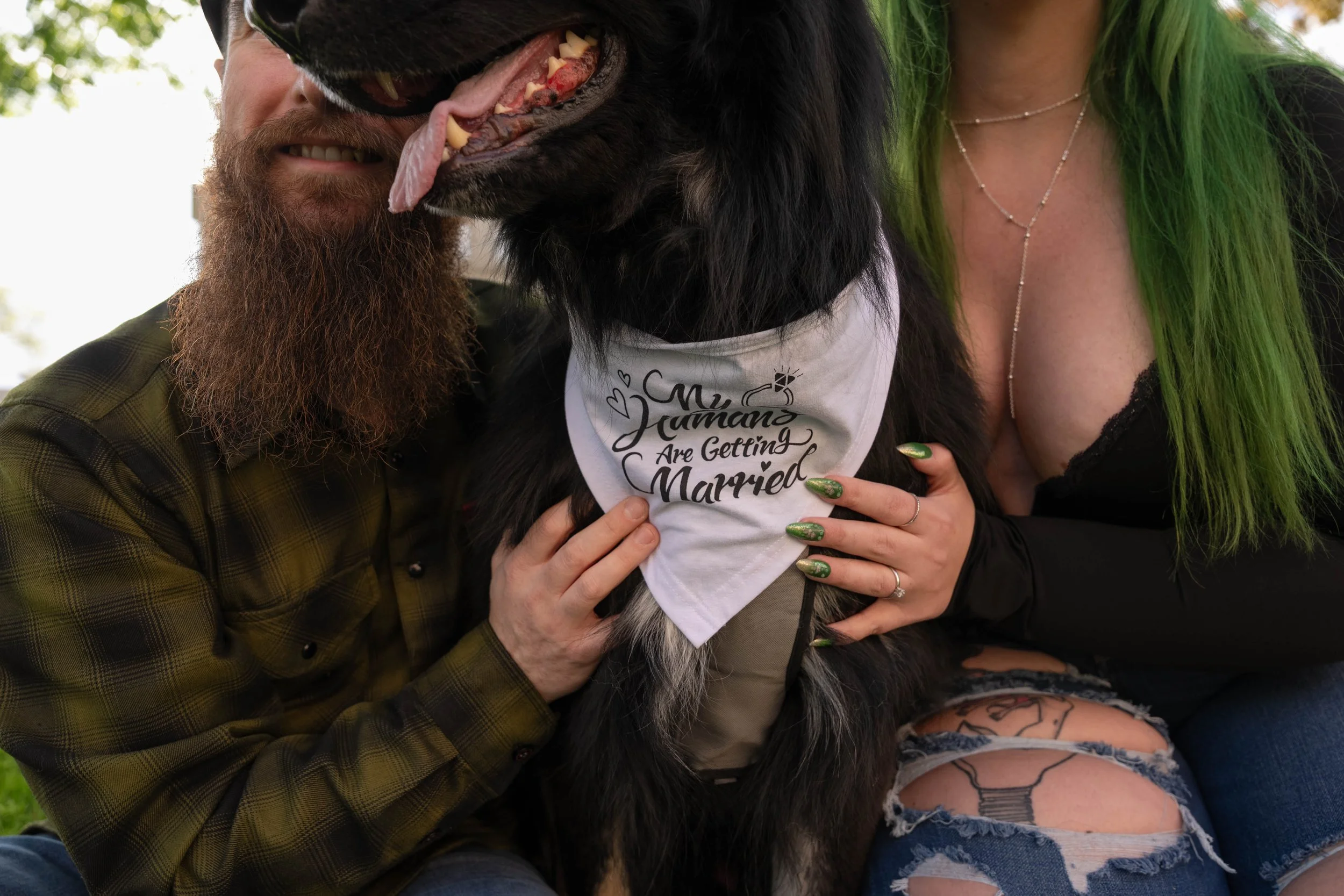 A man with a beard and a woman with green hair are close together, smiling, with a black dog between them. The dog is wearing a white bandana with the words "My humans are getting married" written on it.