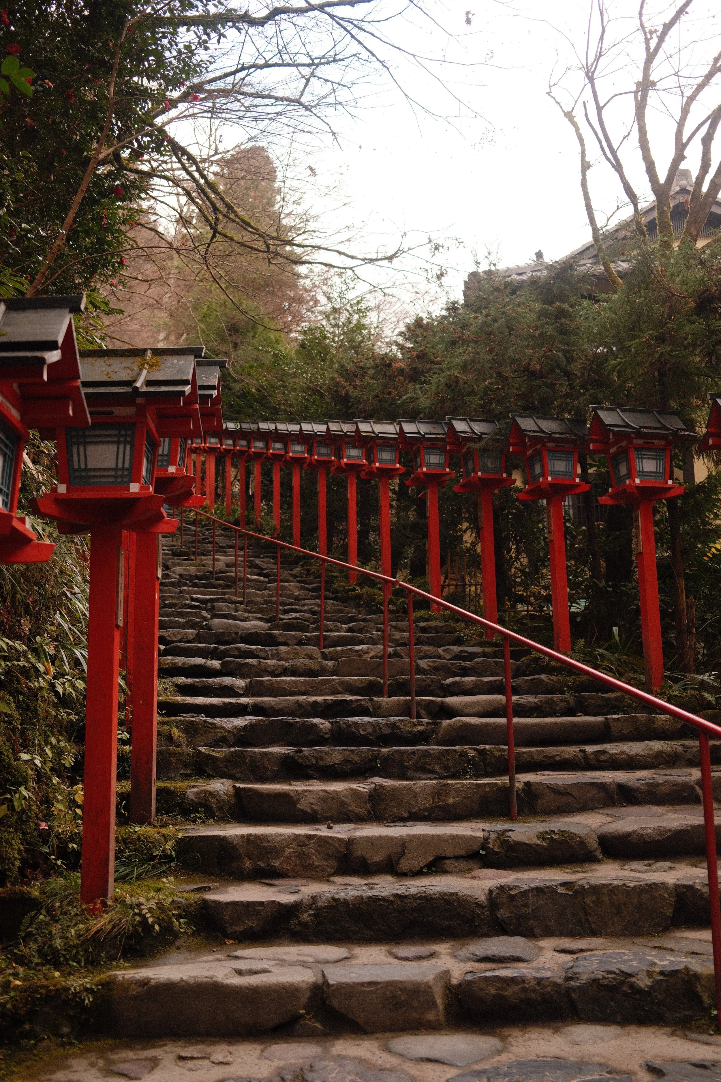 DSCF0544 3.JPG