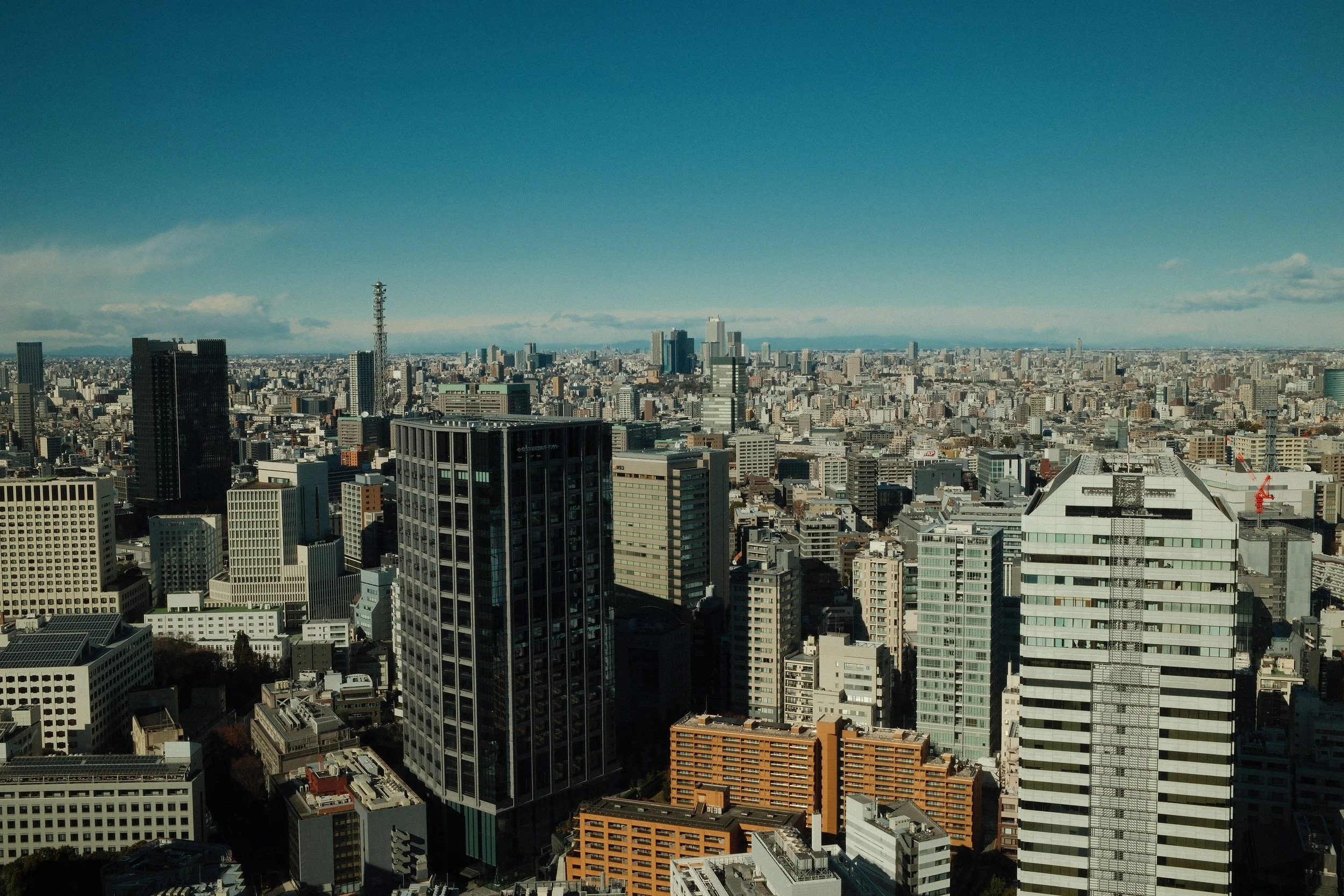 DSCF0376 3.JPG