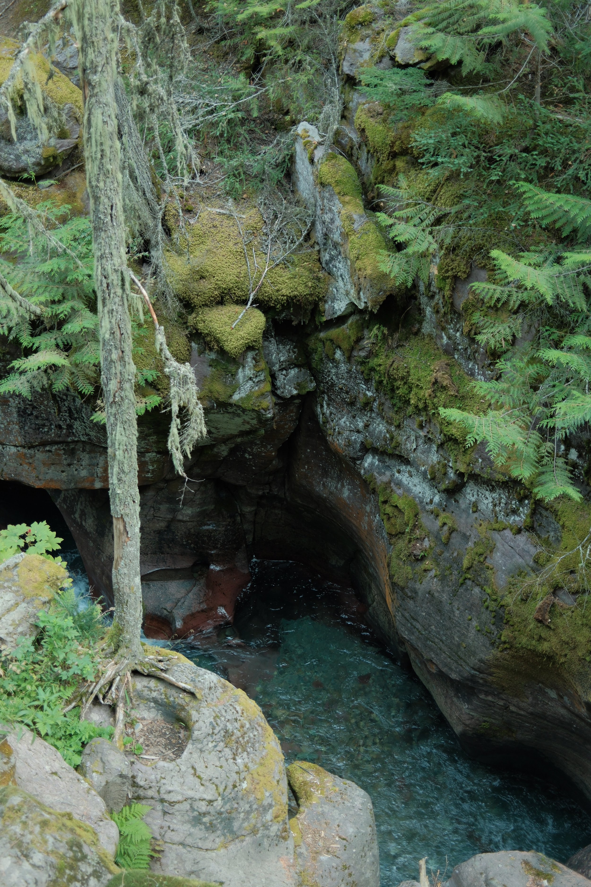 DSCF0169.JPG