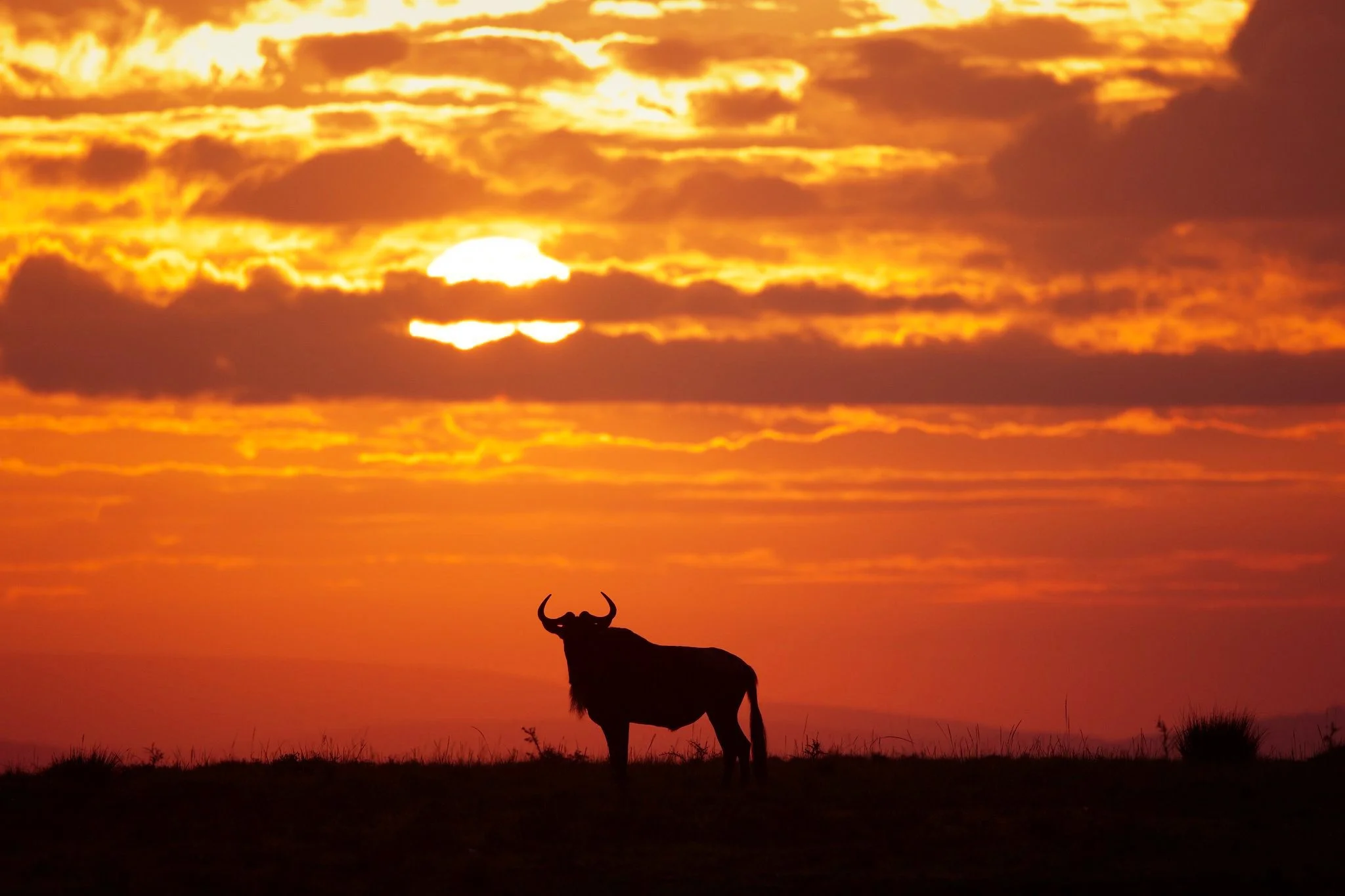 sunset.jpg