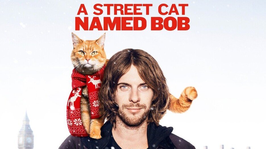 Movie Film A Street Cat Named Bob Ginger Cat