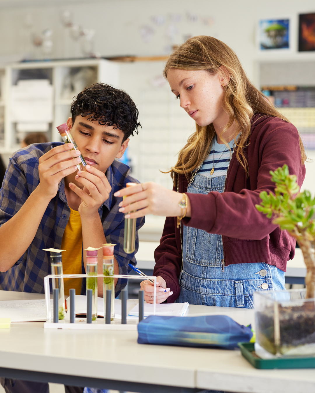 Two students conducting a science experiment with test tubes and a notebook, in a classroom with plants and posters.