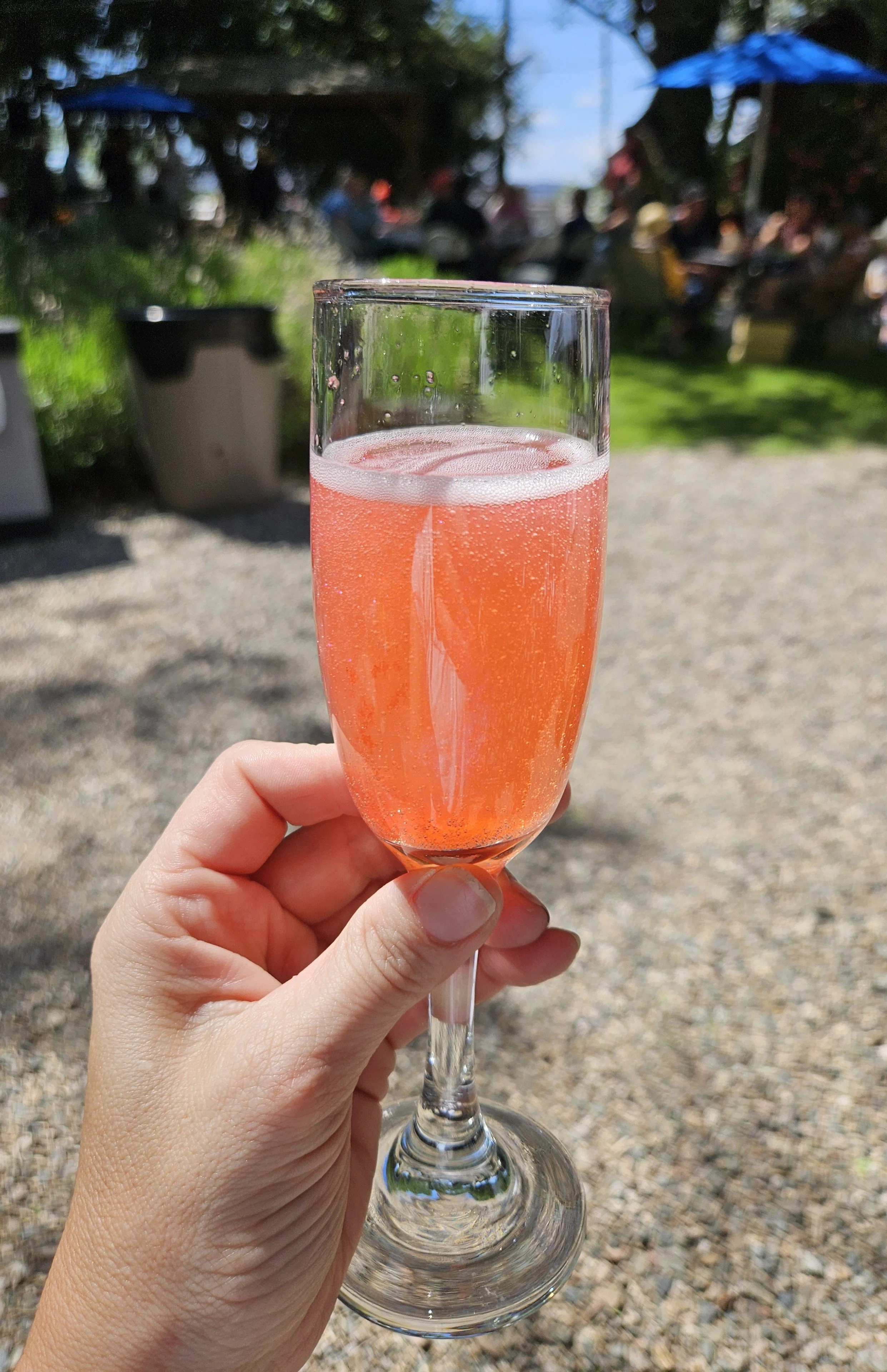 Champagne Cotton Candy 1.jpg