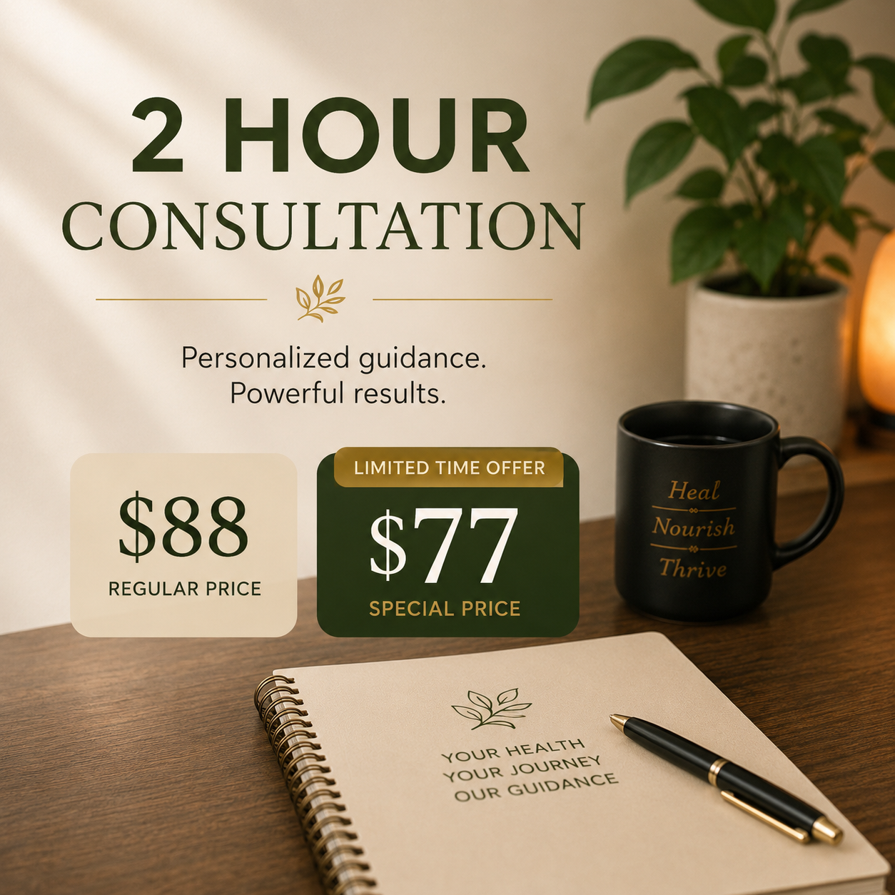 2 Hour Wellness Consultation