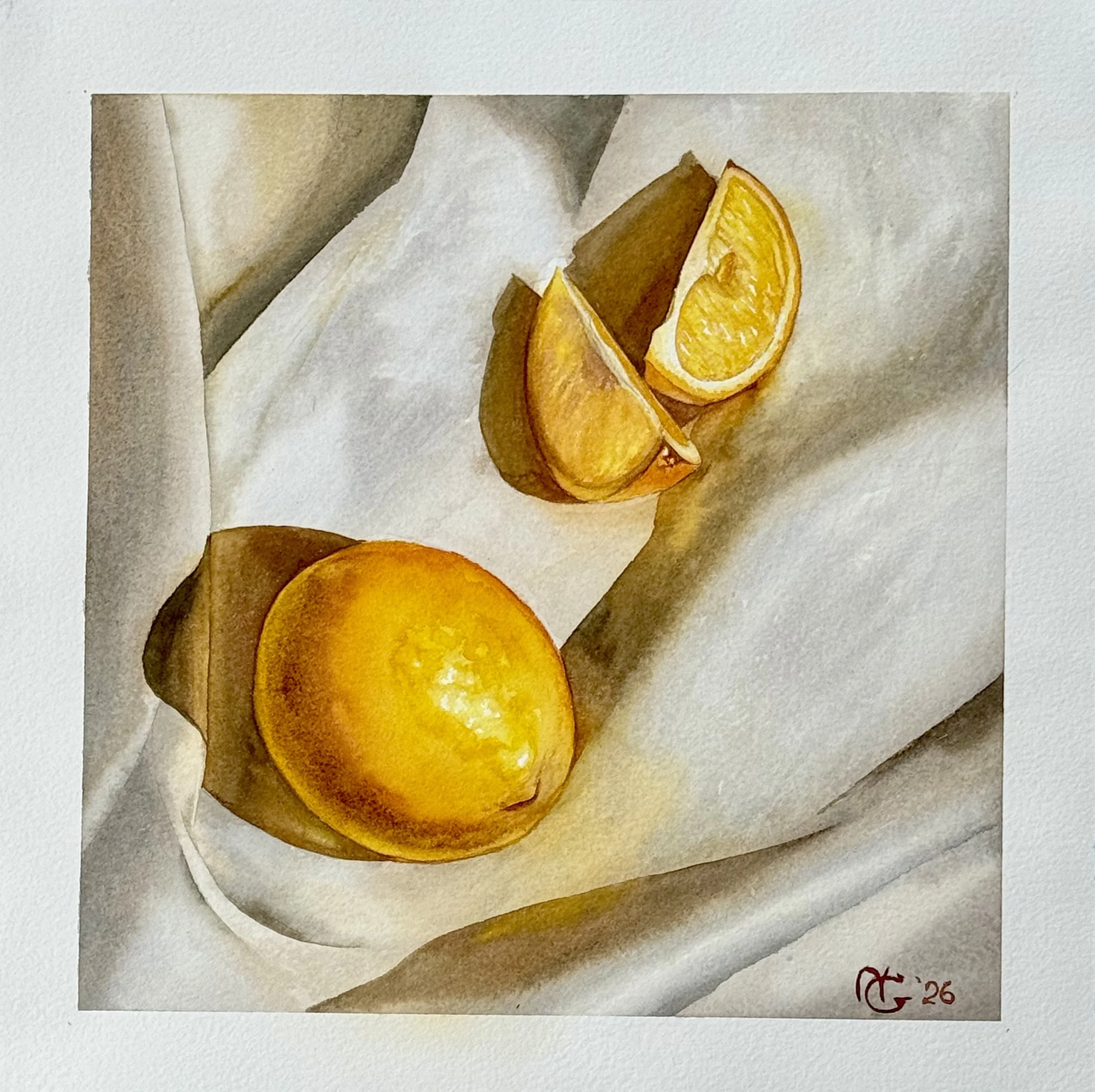 Winter Harvest: Quiet Lemon