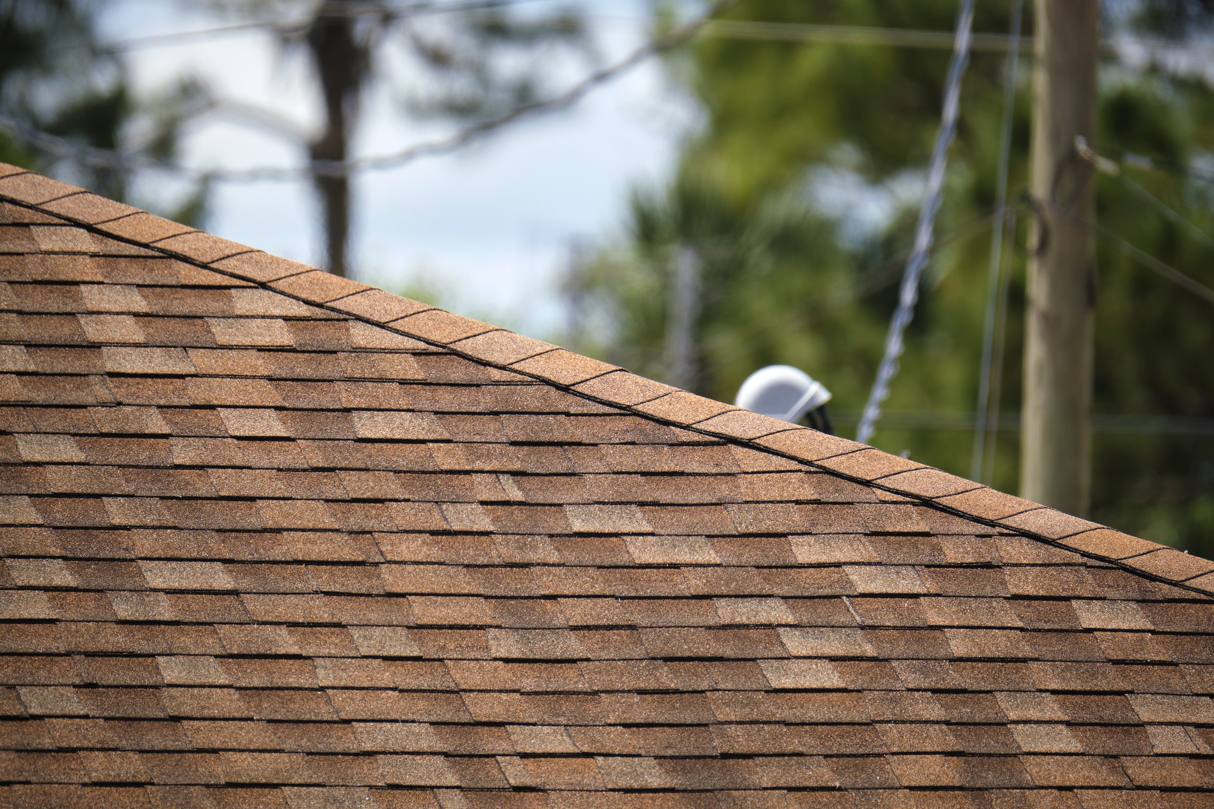 A rooftop with brown shingles, power lines, and a utility pole in the background, with green trees and sky visible.