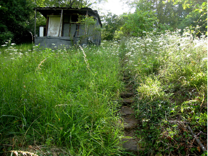 Urban Back Yard >350m2 - 700m2