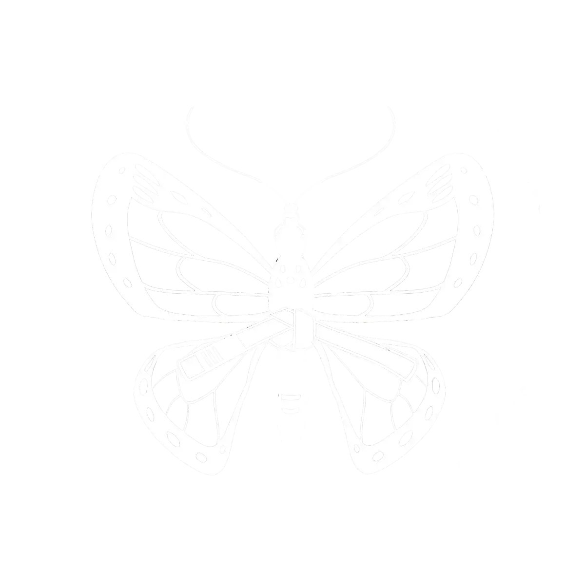 Nutrition and Strength Coaching with Dr Jen Case