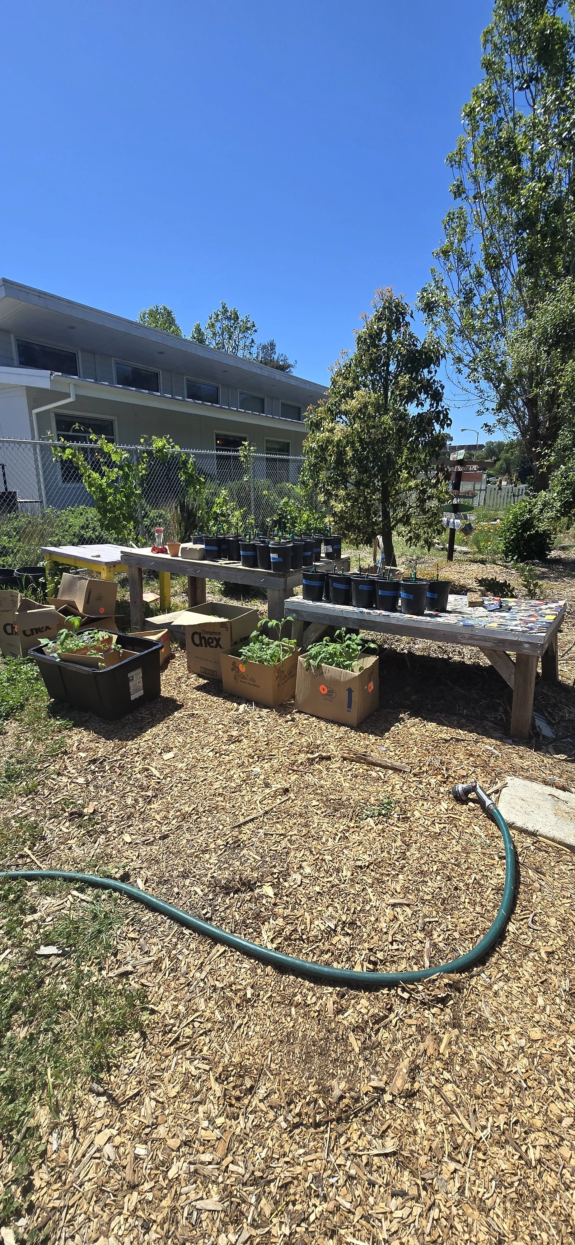 I worked at a Charter School in Avila for a short time (temp position), and they had a garden! I donated seeds on my last day.  