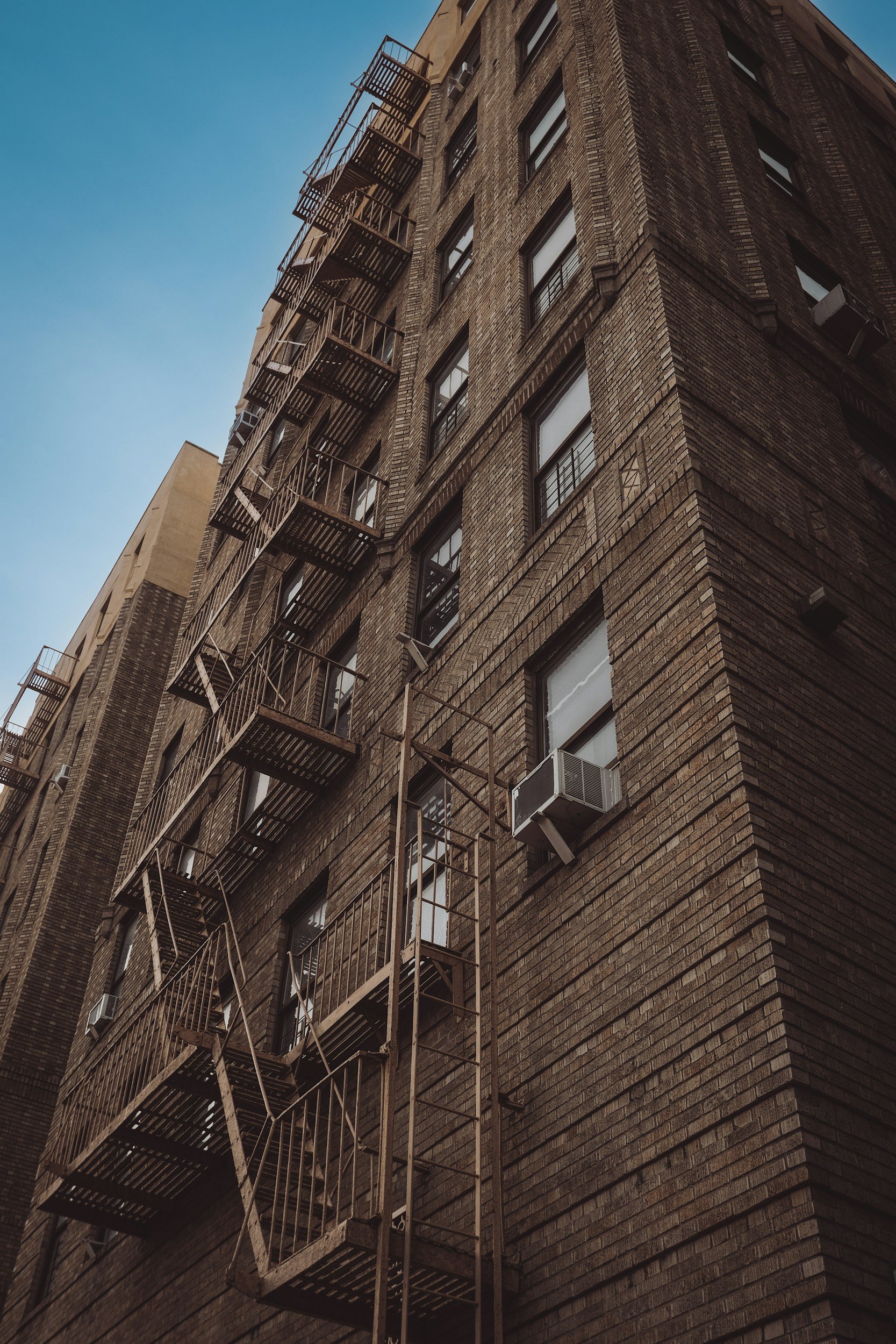 The Bronx Is No Longer a Secret