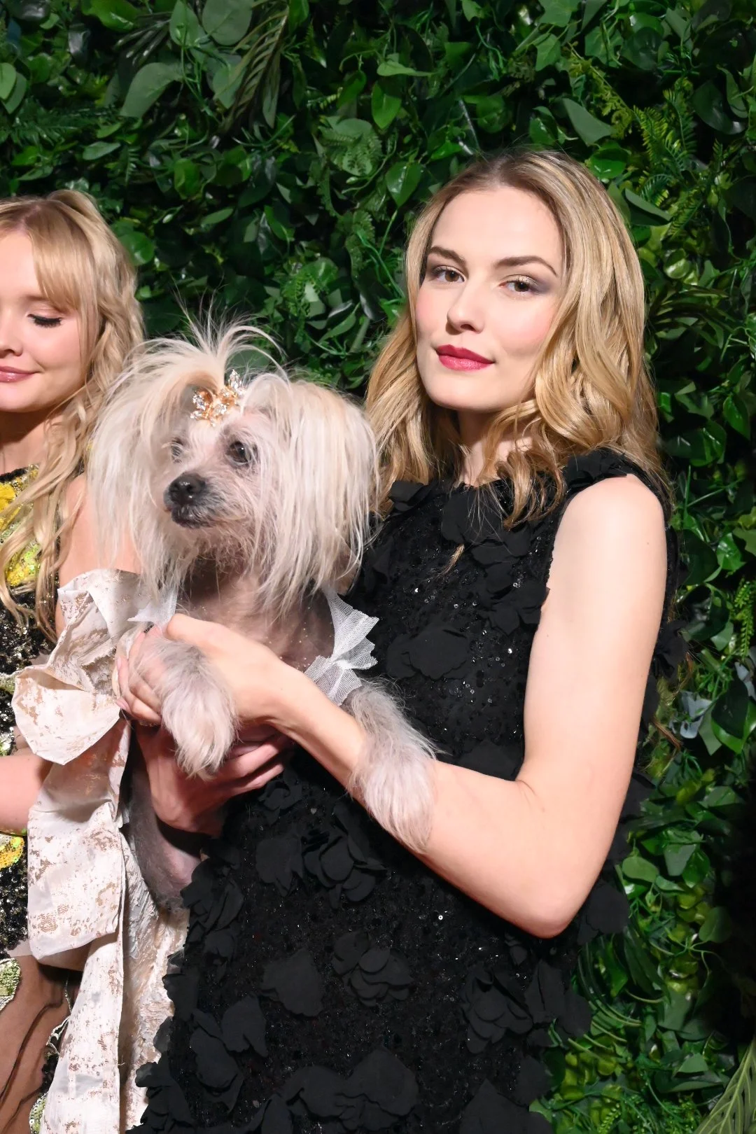 Pet Gala 2026 - Anthony Rubio Designs