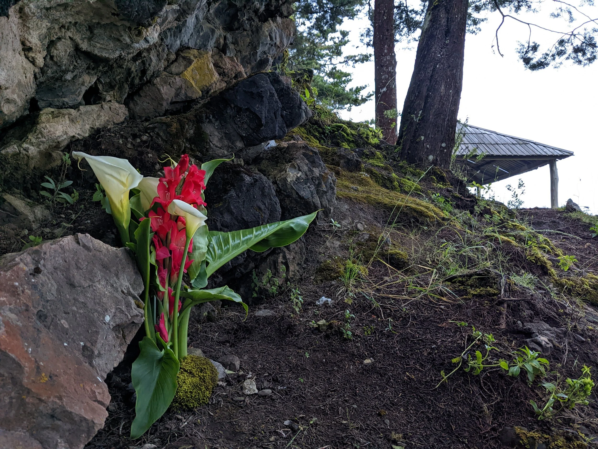Flowers consisting of white calla lilies and pink lilies placed on rocky ground at the base of a tree near a moss-covered hill. In the background, there is a small wooden covered structure and tall trees.