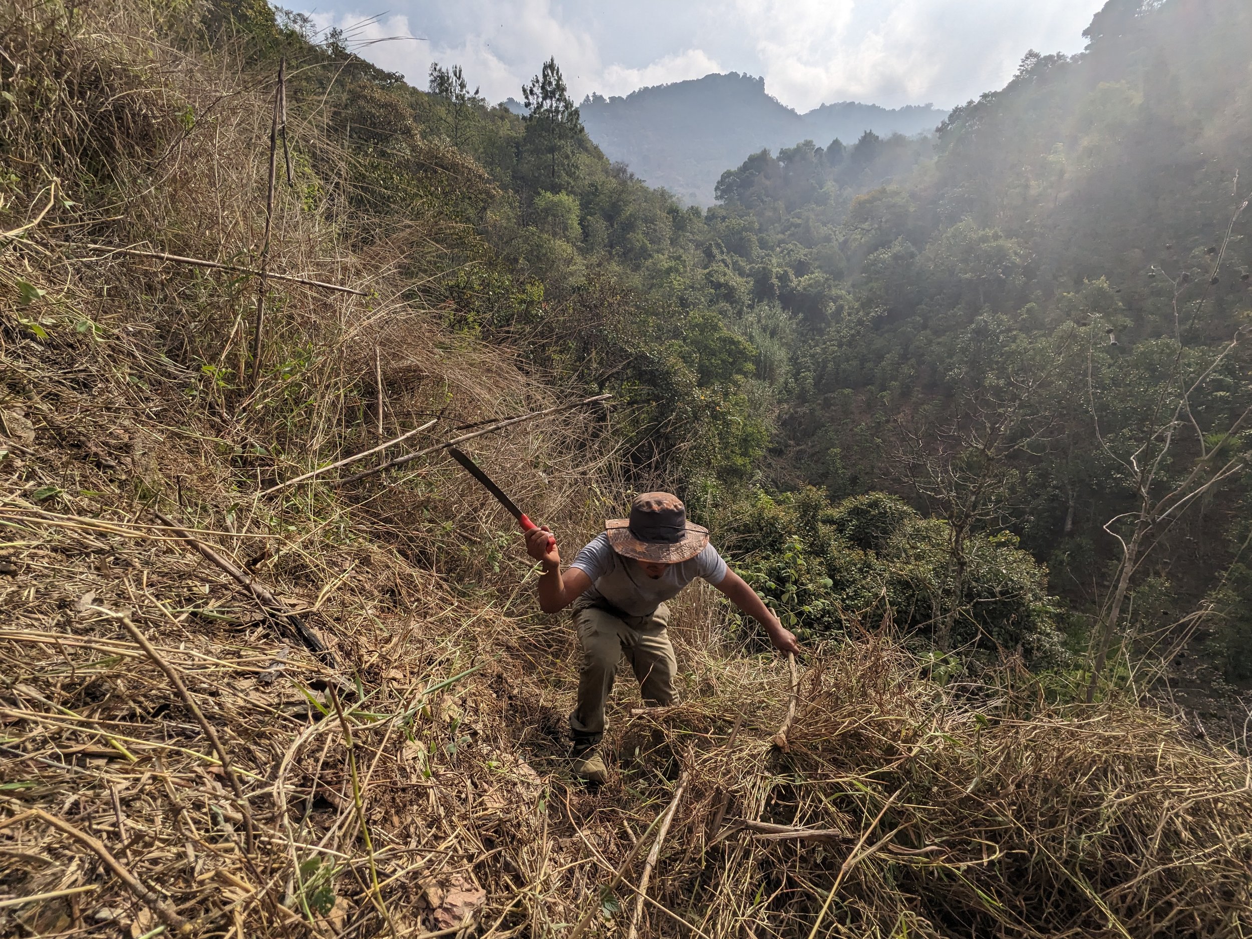 Person hiking uphill on a steep, dry, and overgrown mountain trail, wearing a hat and casual clothing, surrounded by dense green forest and mountains in the background with partly cloudy sky.