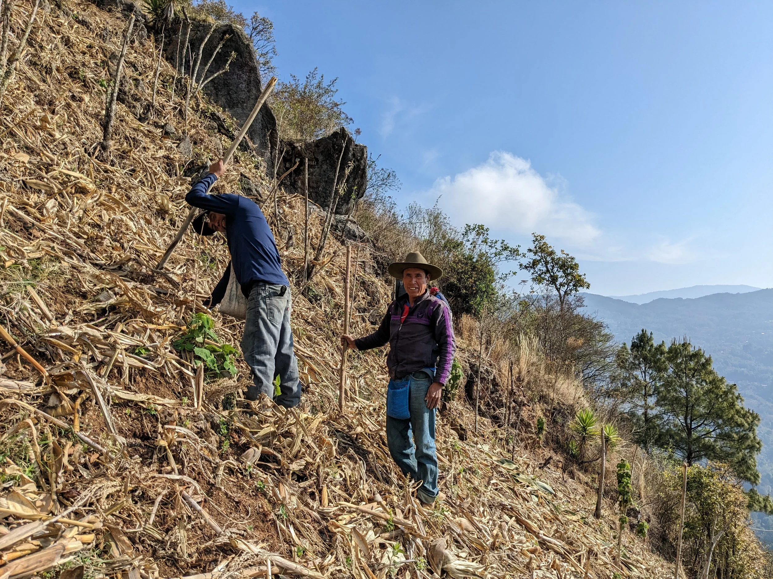 Two men hiking up a dry, steep hillside covered in dead plants and sparse trees, with mountains and a blue sky in the background.