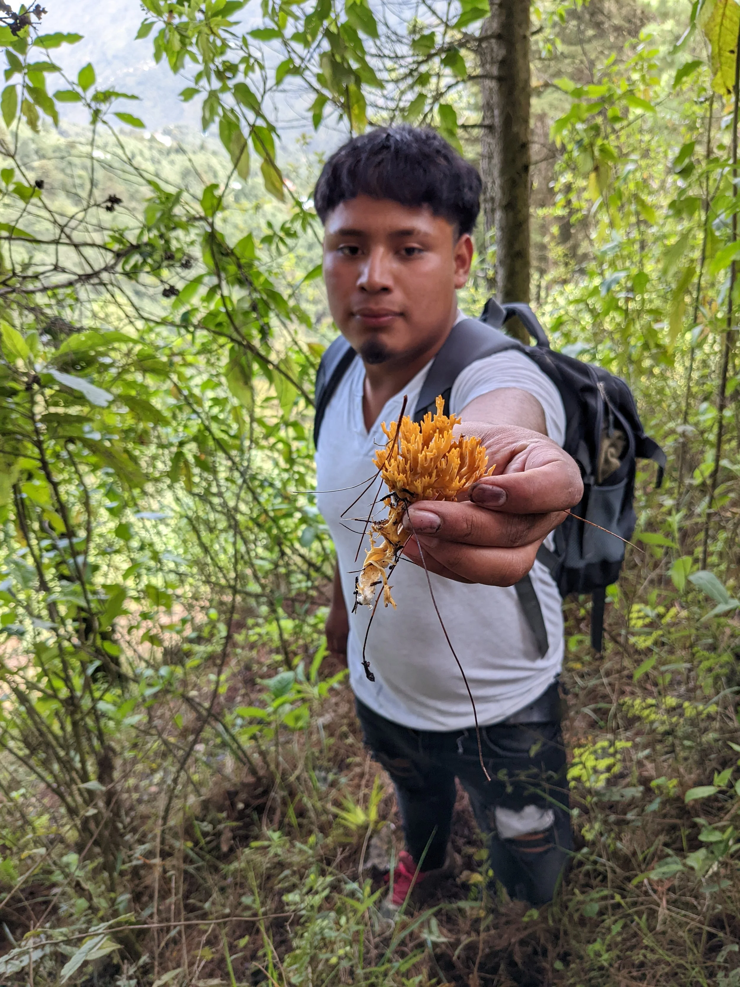 A young man with dark hair and a beard holding a bright orange coral mushroom in a dense green forest, with a backpack on his shoulders.