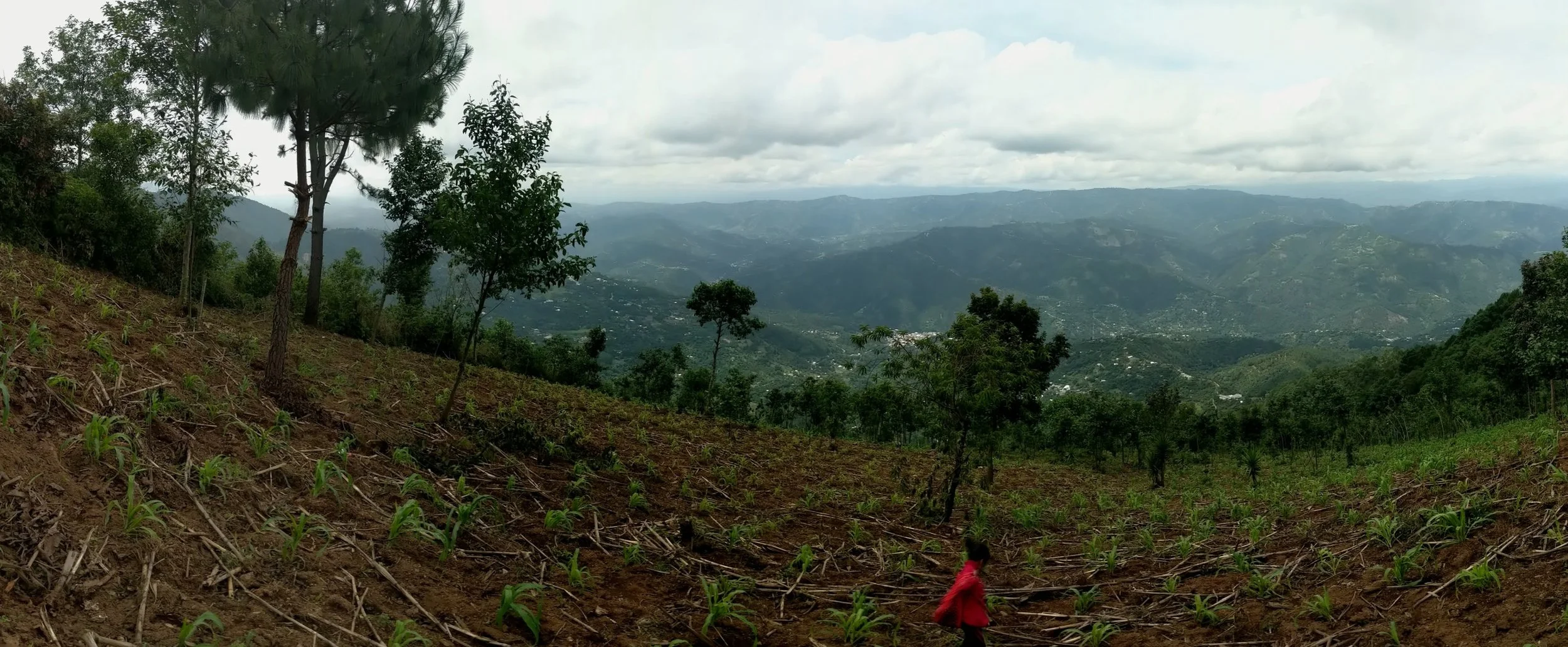 A scenic view of a mountainous landscape with sparse trees and a cloudy sky, featuring a woman in a red coat walking through a field.