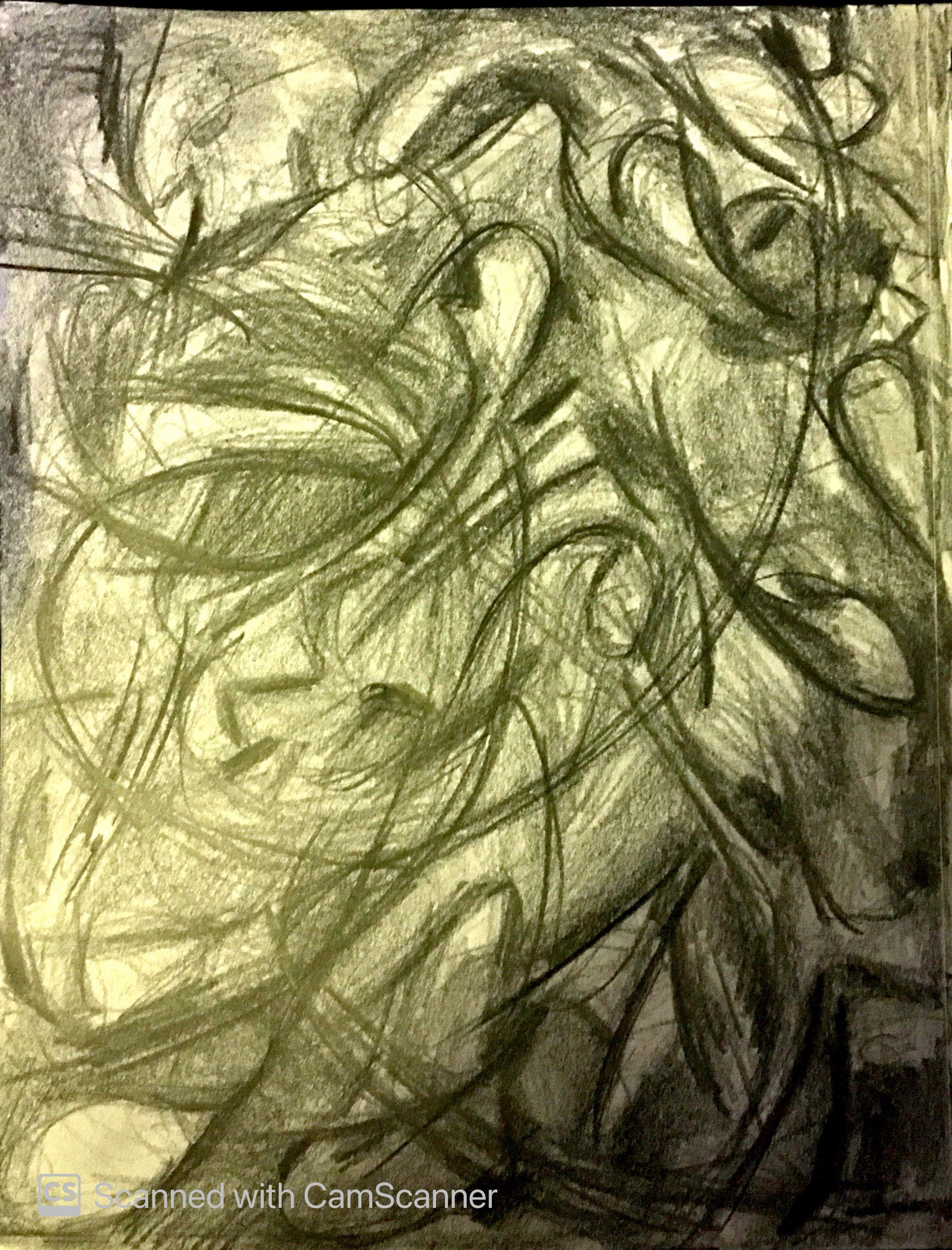  Dynamism 
 Pencil Drawing 