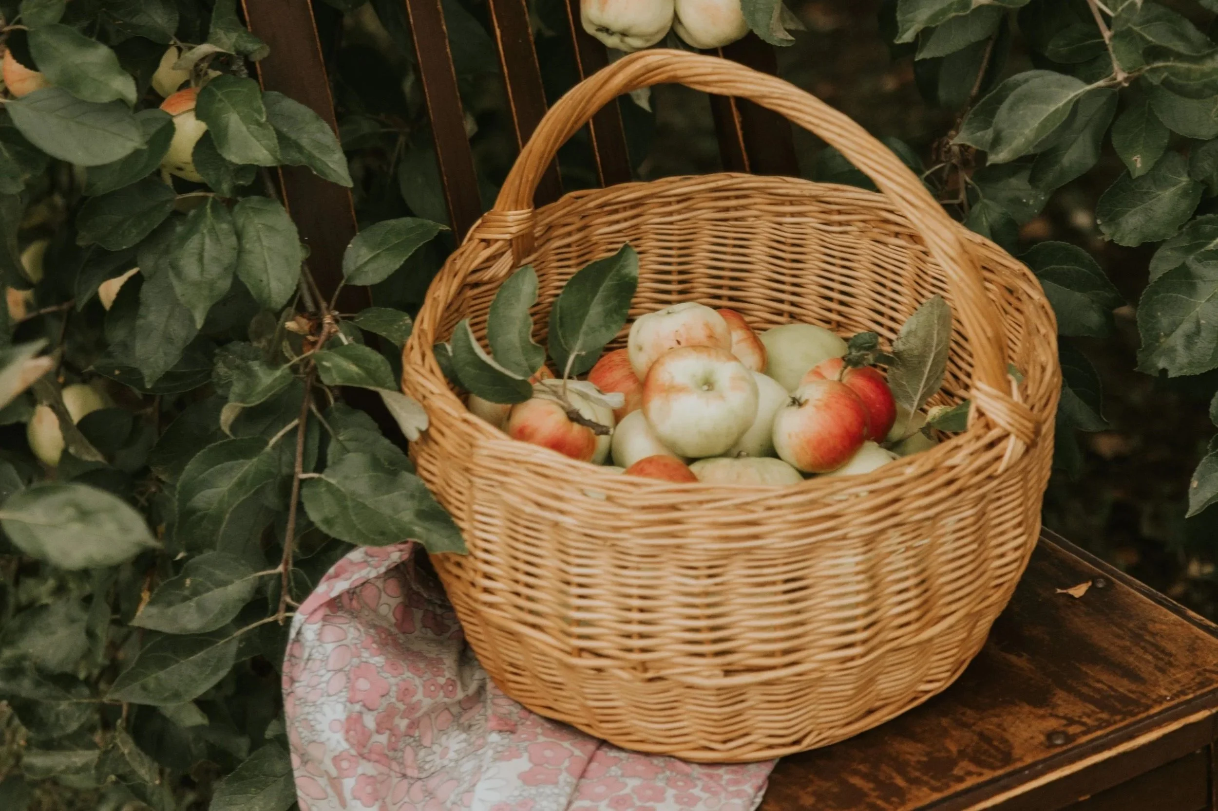 Savouring September