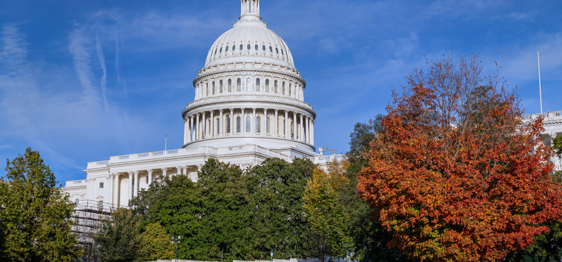 The United States Capitol building viewed from ground level, surrounded by trees with autumn leaves, against a blue sky with some clouds.