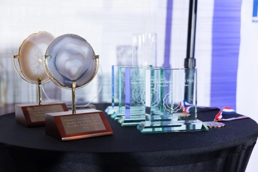 Awards and plaques displayed on a table, including two geode-style ornaments, glass plaques with engraved designs, and a medal with a ribbon.