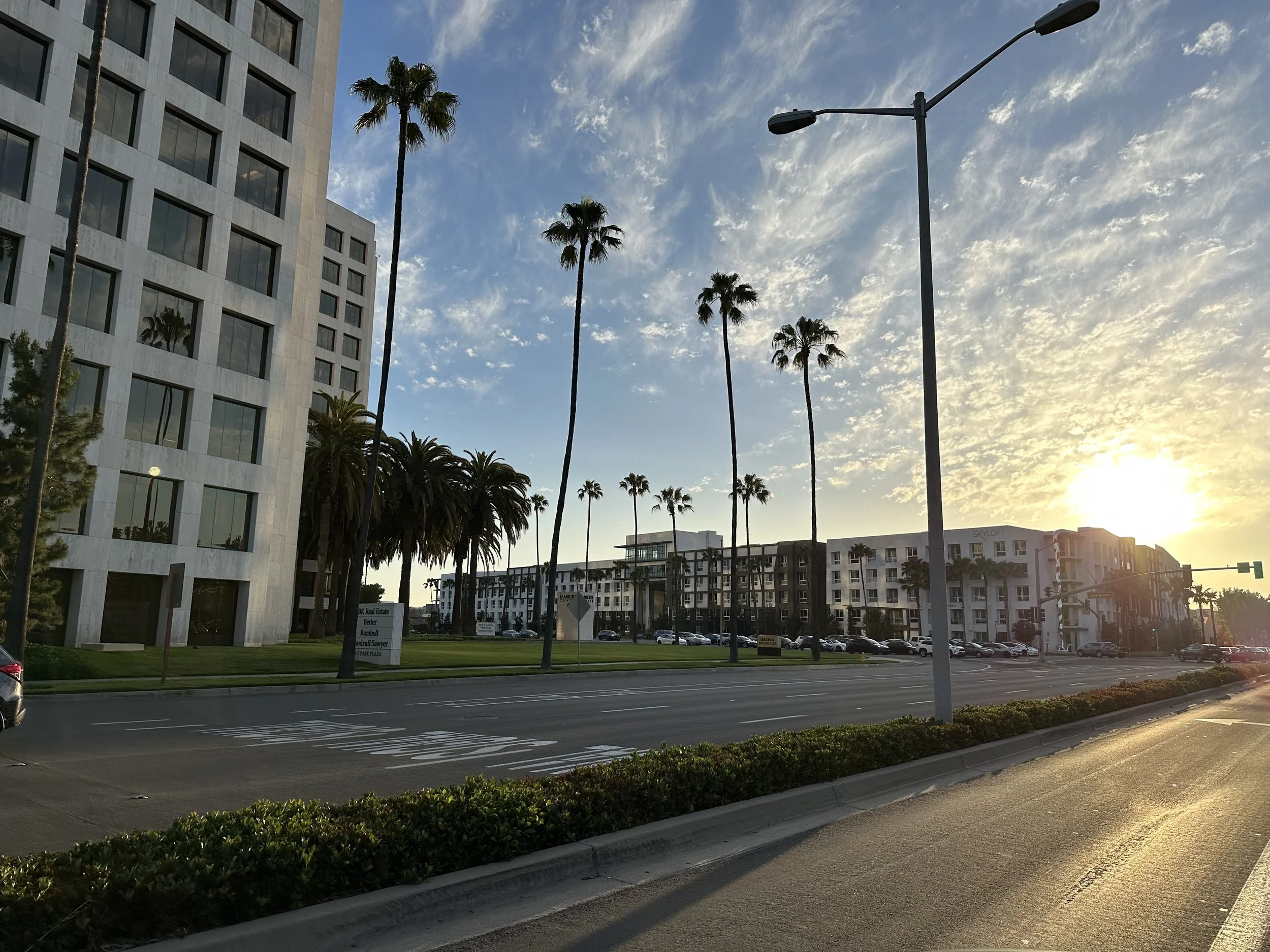 Street view with a large modern white building on the left, tall palm trees, a traffic light, and a parking lot with cars. The sun is setting or rising, casting a warm glow. The sky has scattered clouds.
