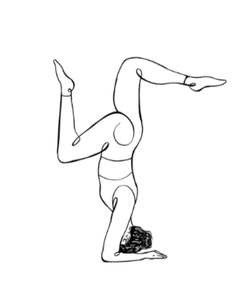 THEORY PROJECT PILATES