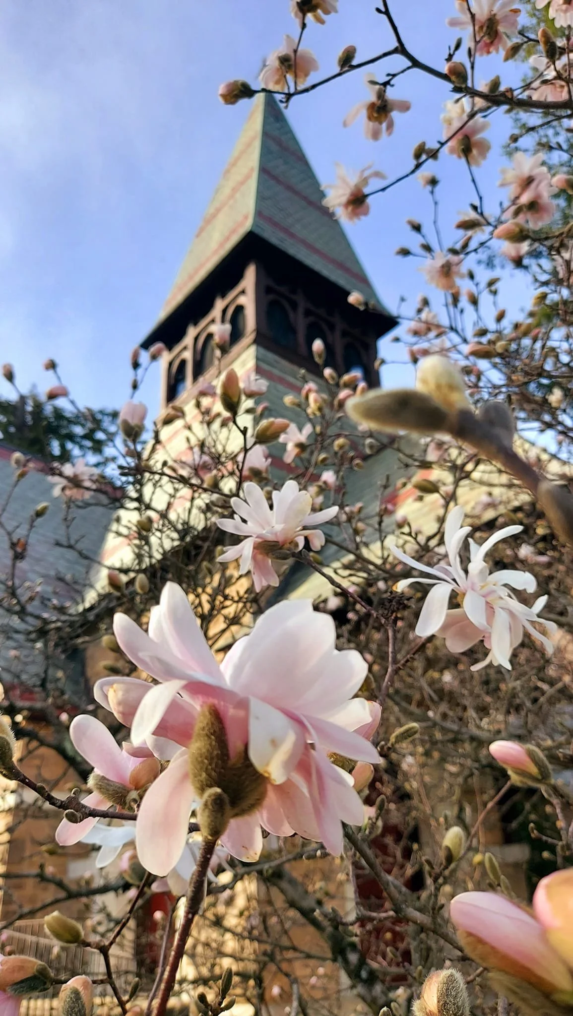Barry Anderson, Vestry
(Lakeville, CT)