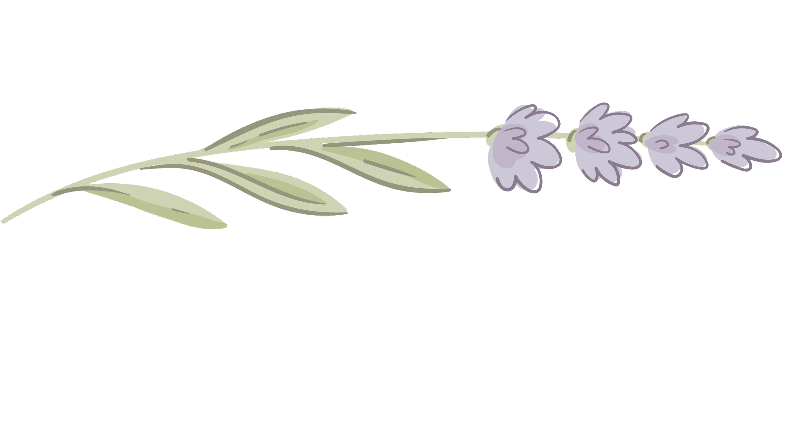 Illustration of a lavender sprig with elongated green leaves and purple flower clusters.