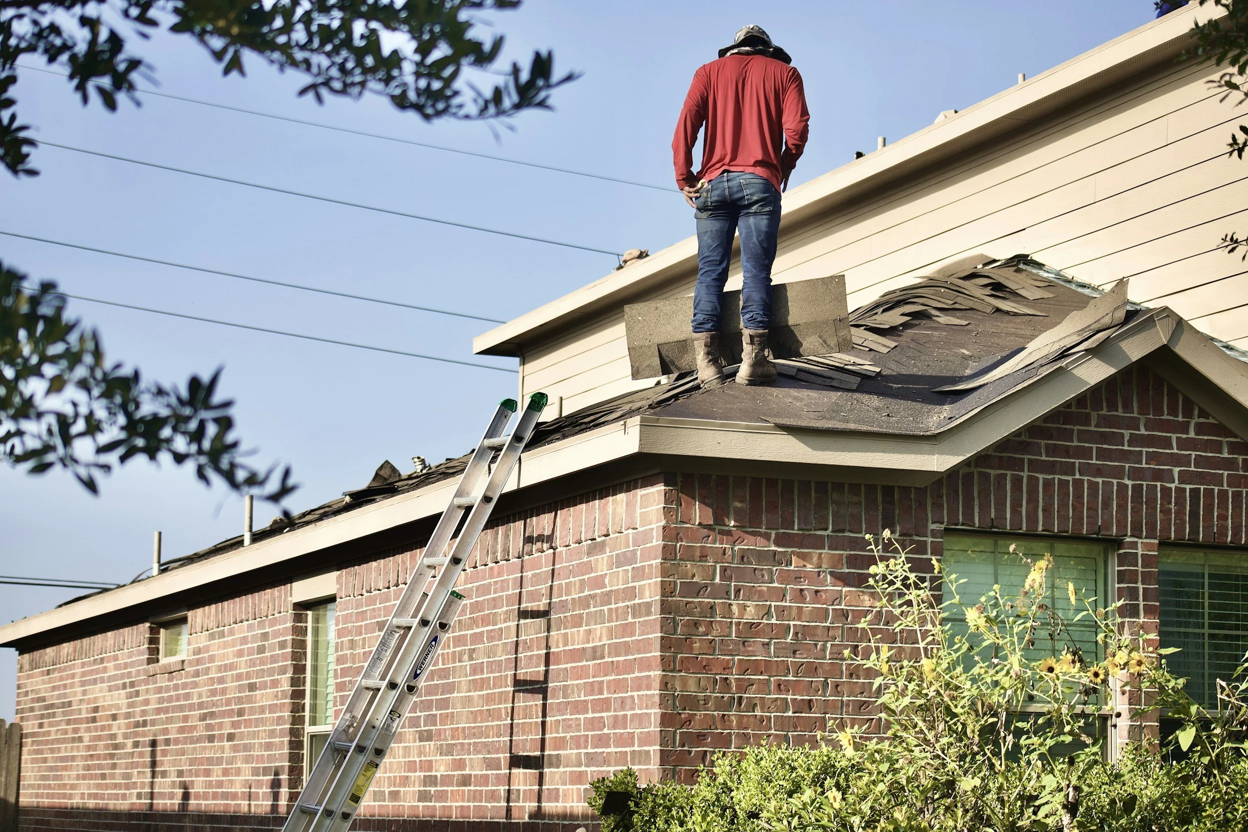 A person wearing a red shirt, jeans, and a hat is standing on a ladder repairing or inspecting the roof of a brick house during daytime with a clear sky. The person is facing away from the camera, and the house has beige siding with several windows surrounded by greenery and flowers.