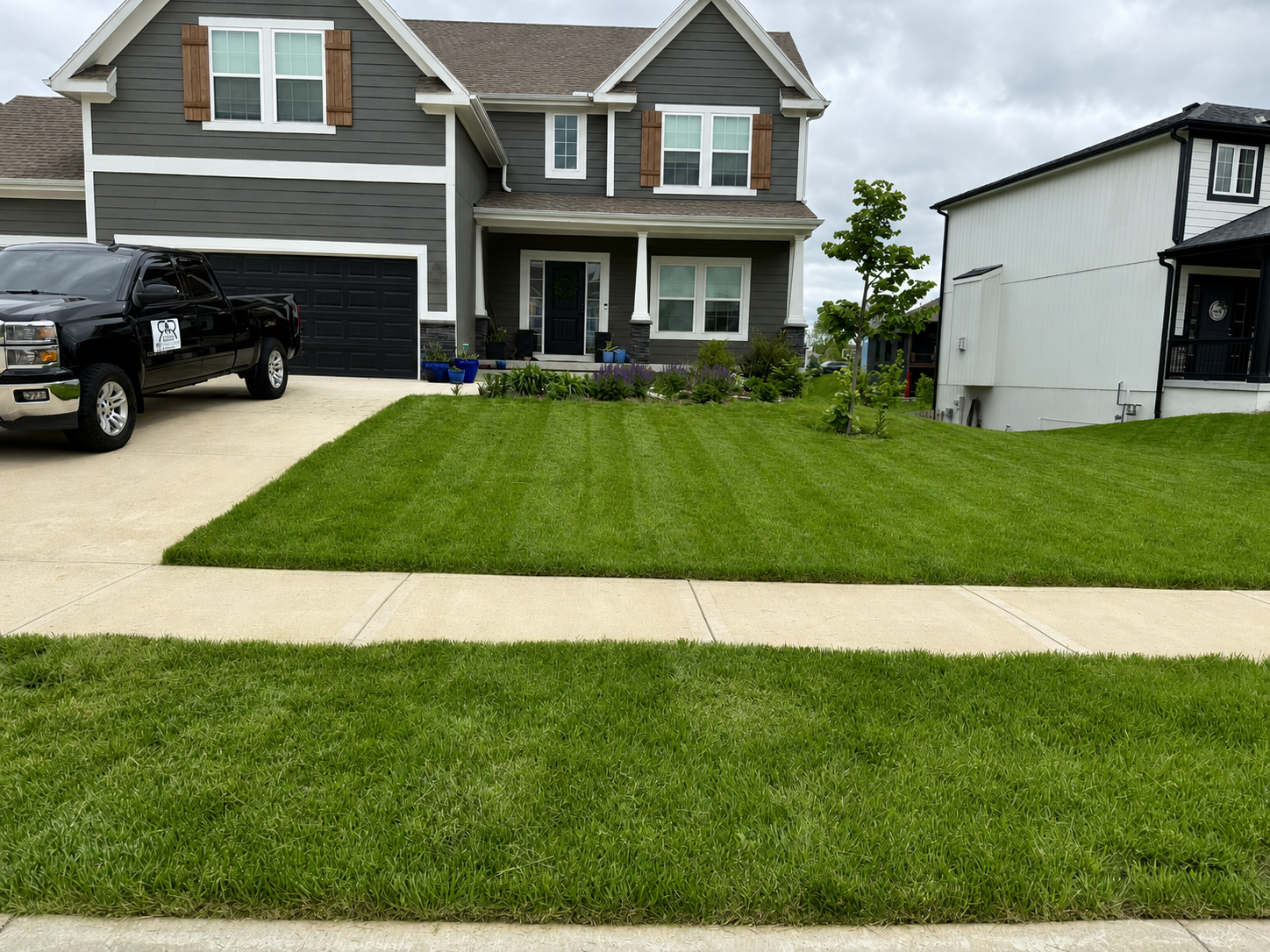 Front yard with green grass, concrete sidewalk, grey house with black door, garden beds with plants, a black truck parked on the driveway, and neighboring houses visible.