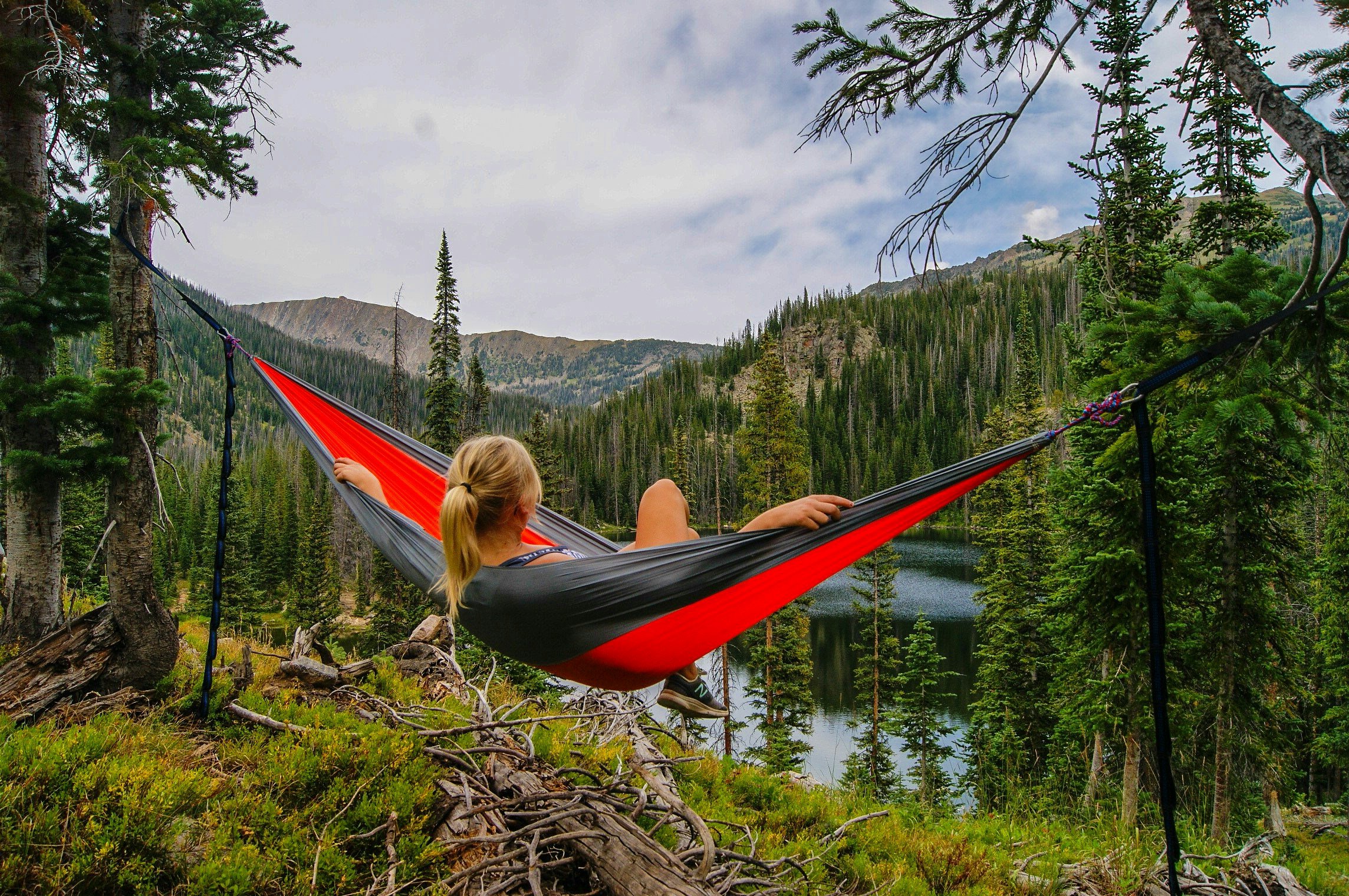 Your Hips Are the Trees and Your Pelvic Floor Is the Hammock — The Connection That Changes Everything