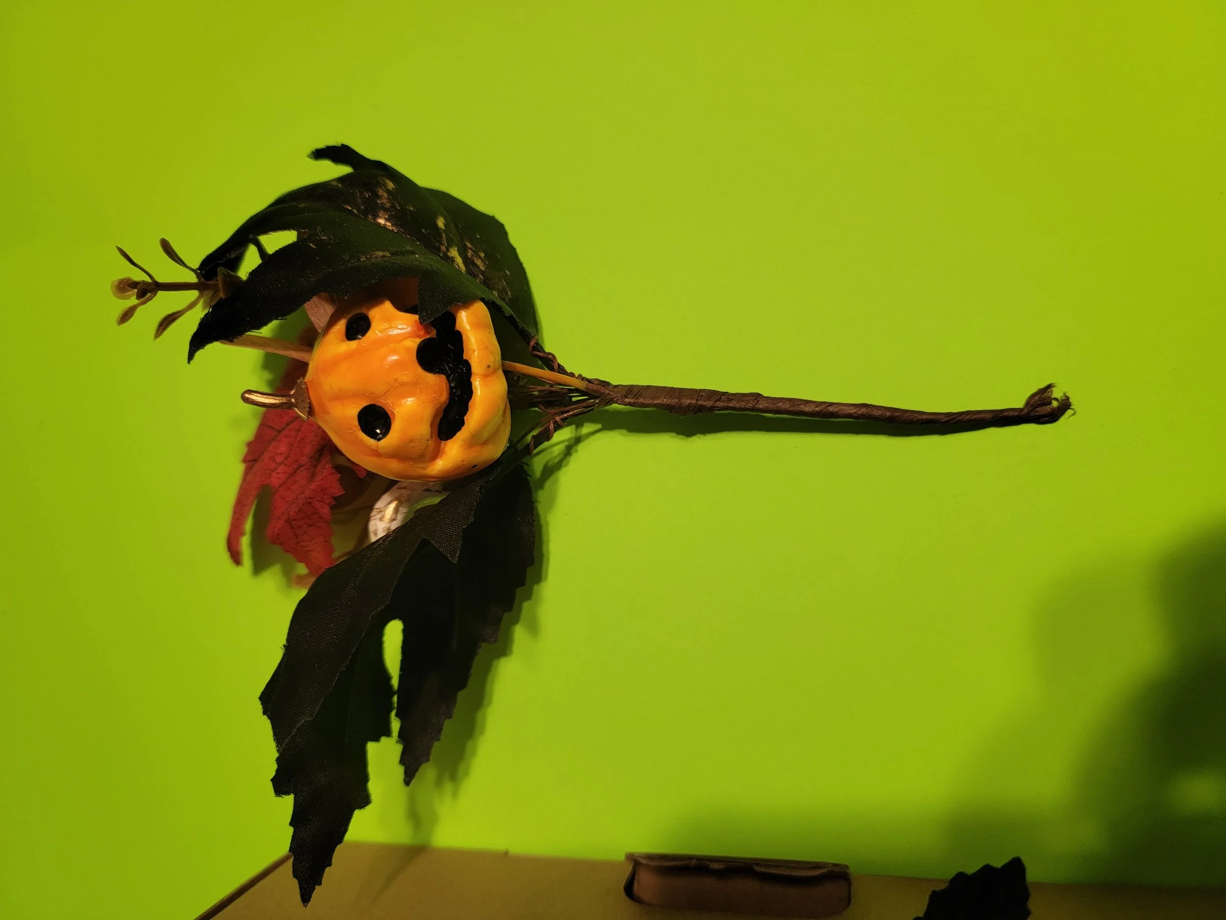 20260612_182216.jpg