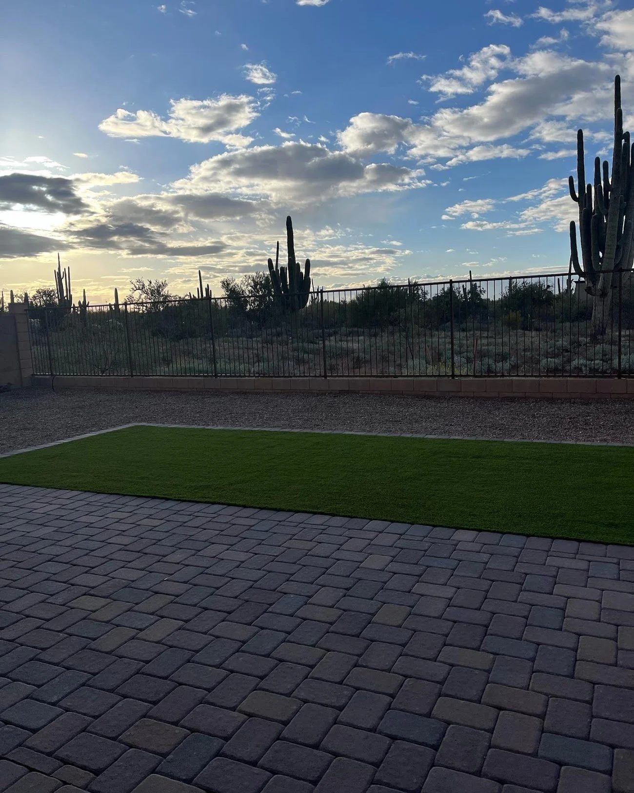 turf 003.jpg