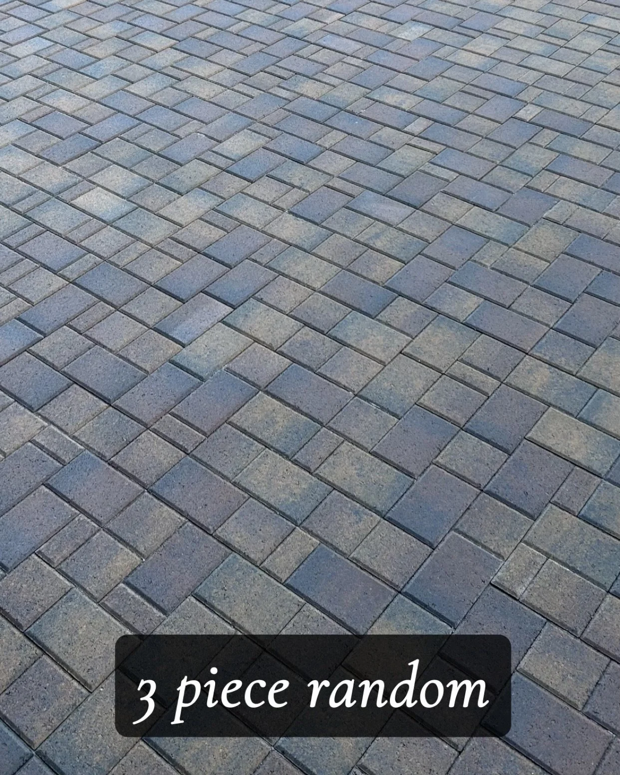 image4 (5).jpeg