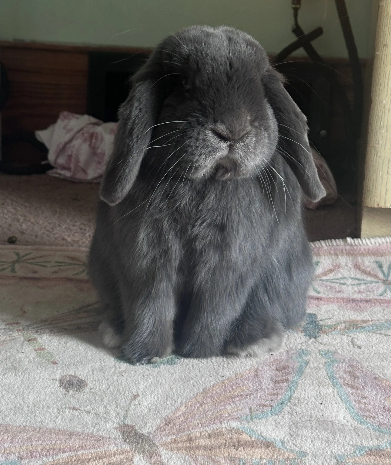my baby boy blueberry!