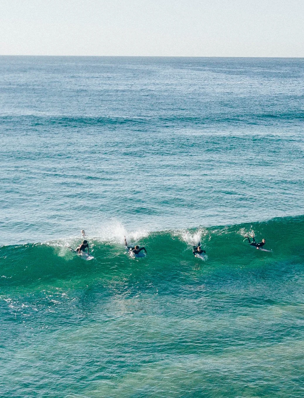 Little Groms