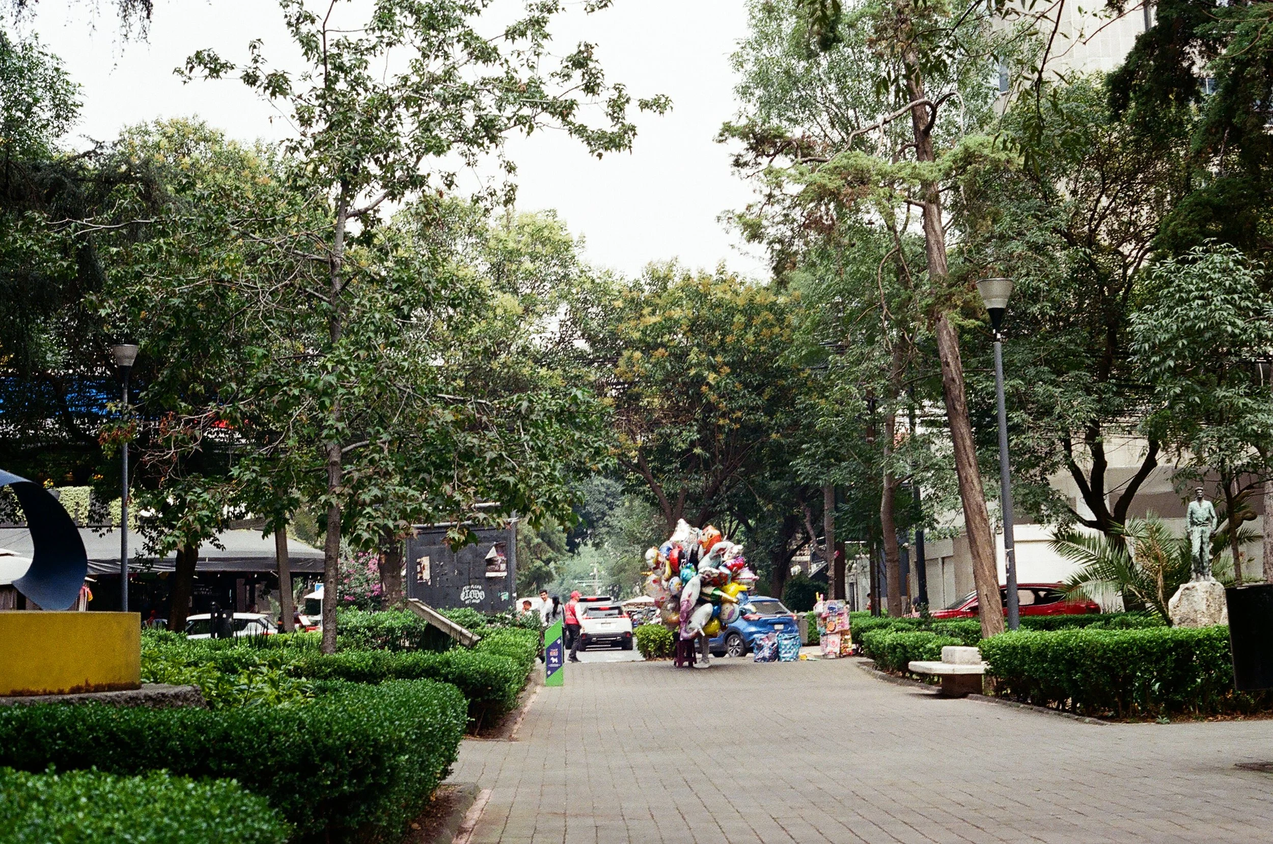 IMG_3712.JPG
