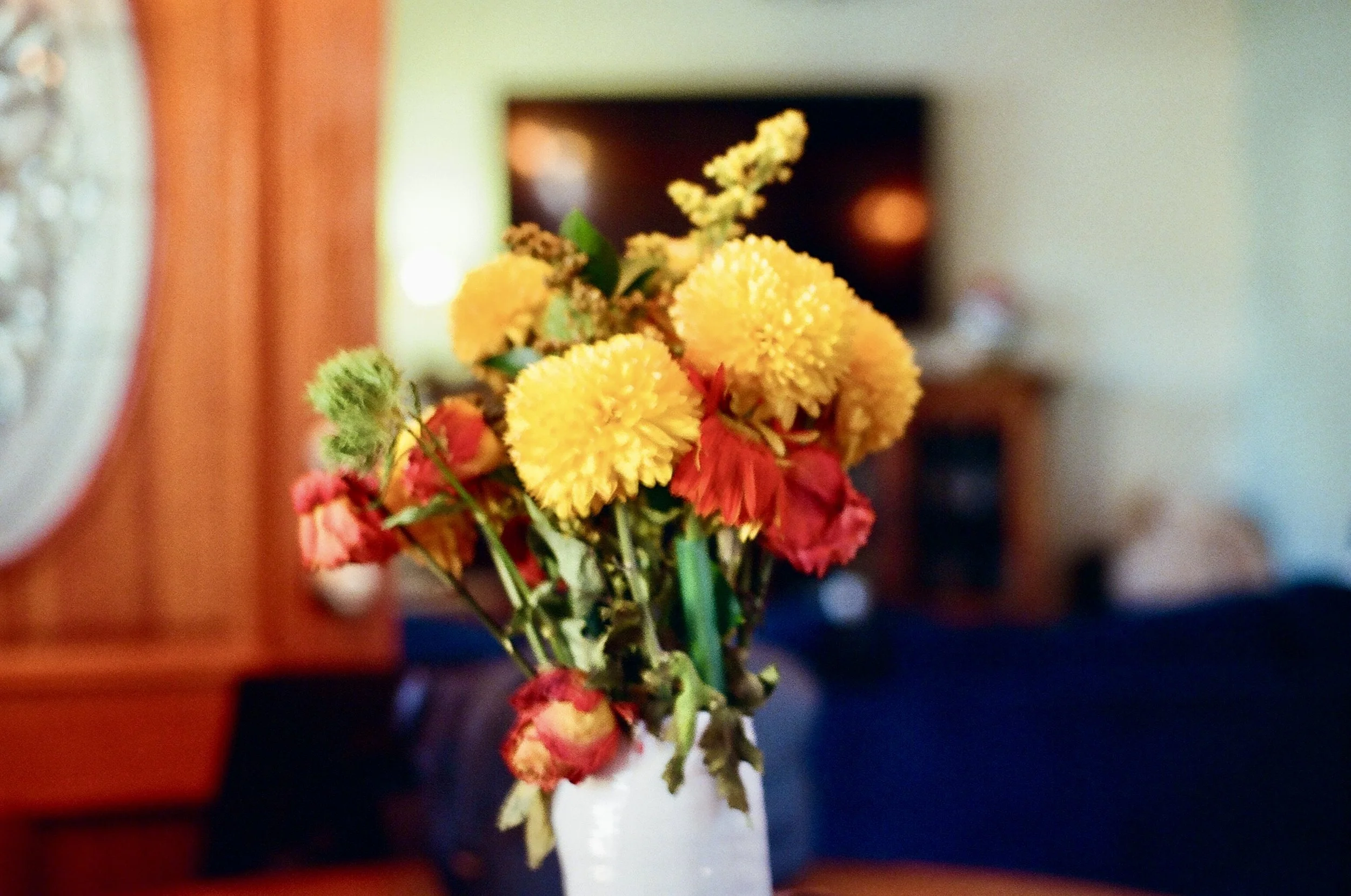 IMG_8335.jpg