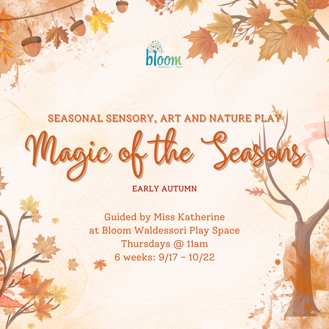 Magic of the Seasons: Courage &amp; Dragons