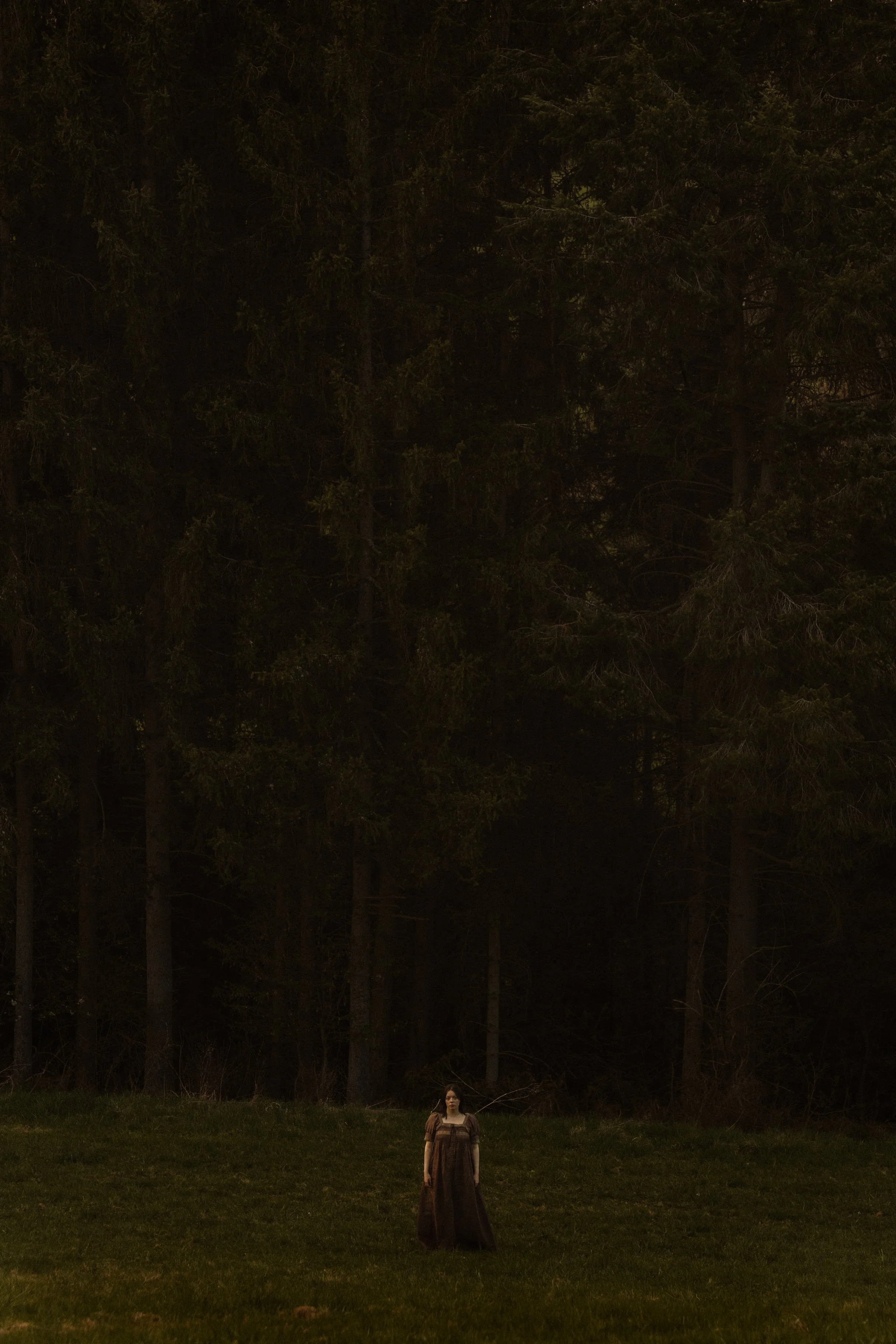 Small Fae Faerie Fairy With Giant Trees Forest Pine Trees Brown Long Dress